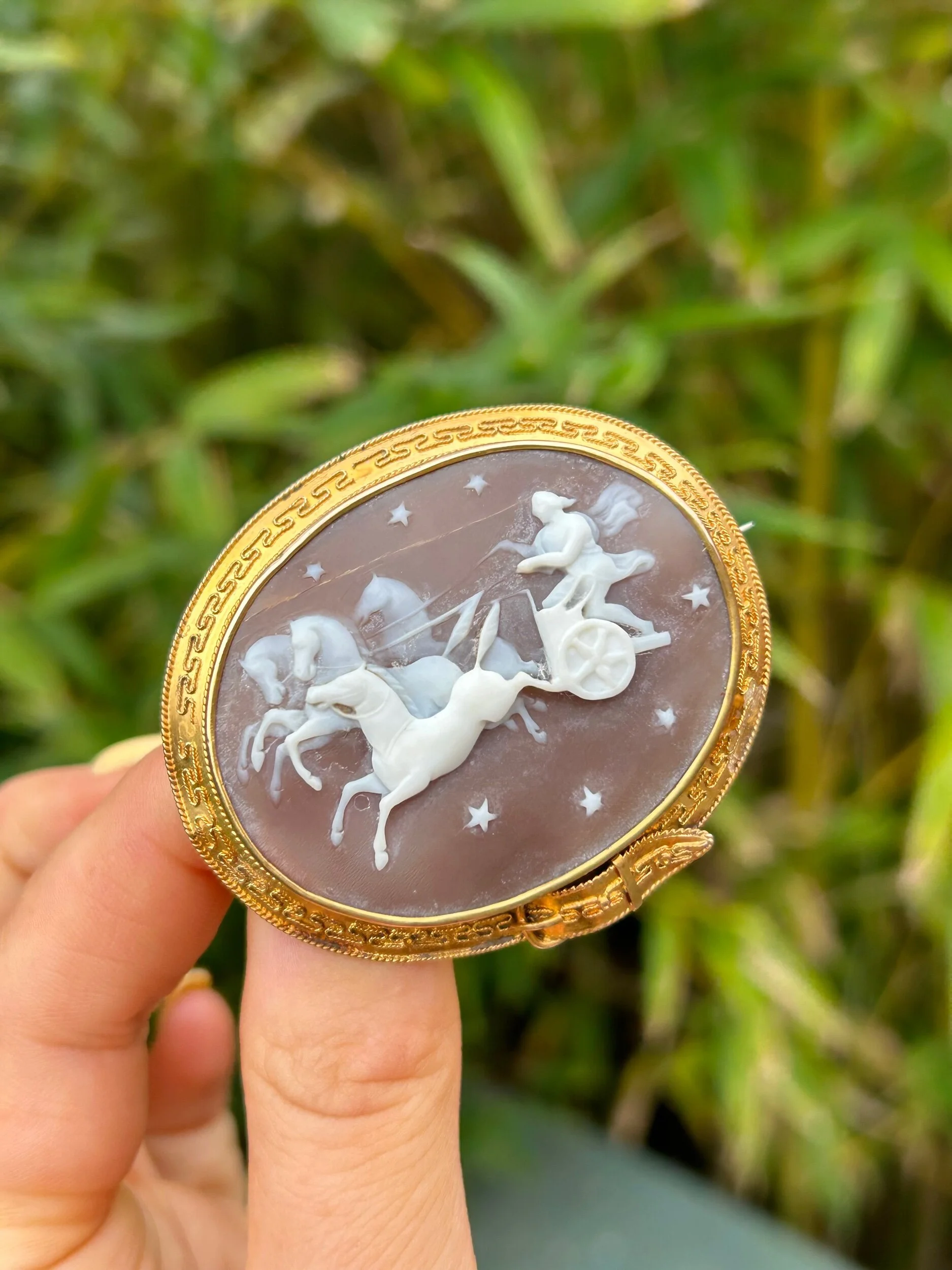 4F0A8B80-C8B6-4FF9-B8C5-9231E785470E