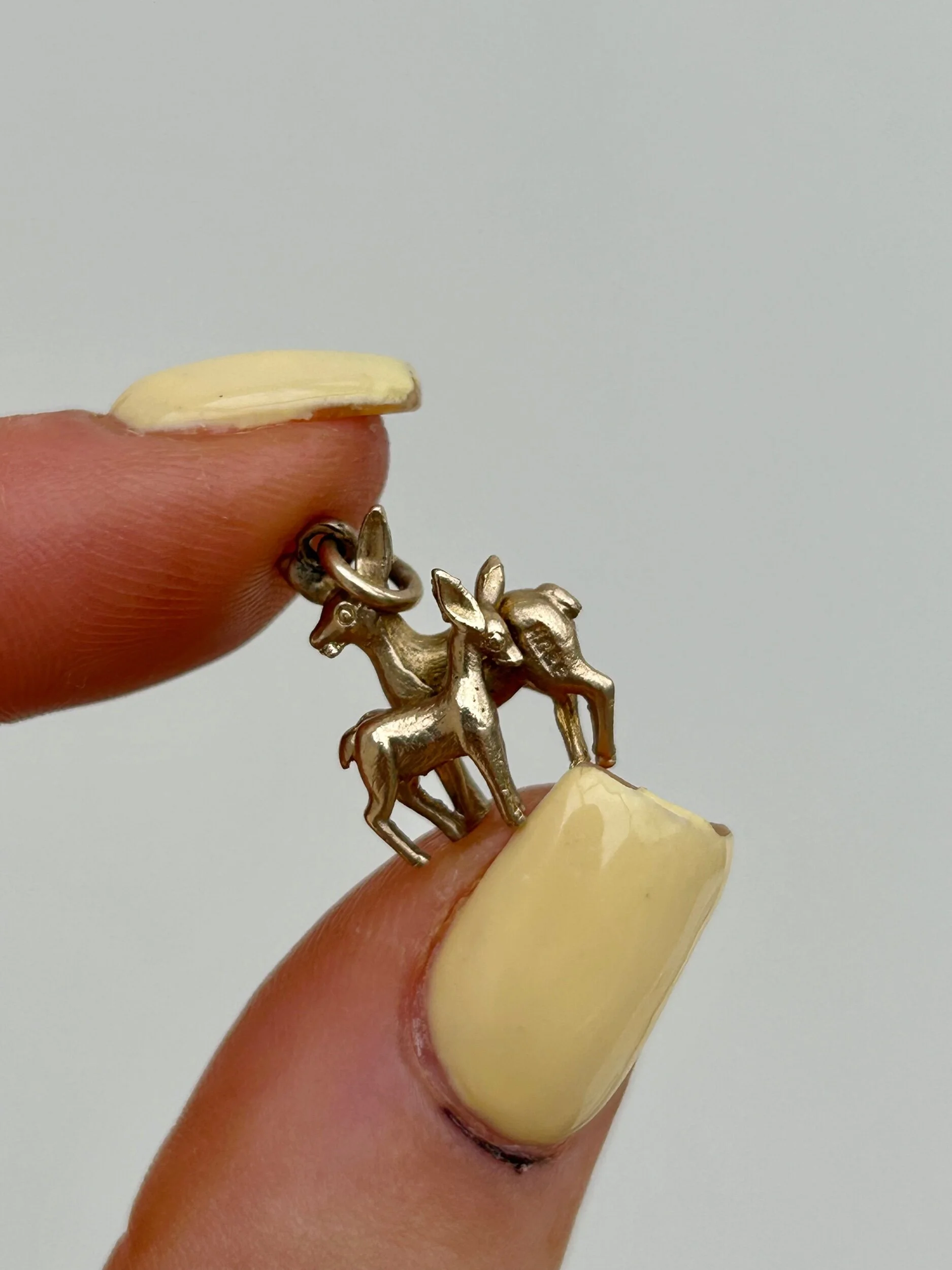 817C6AFD-52AB-461C-9A5F-49511AF902DA