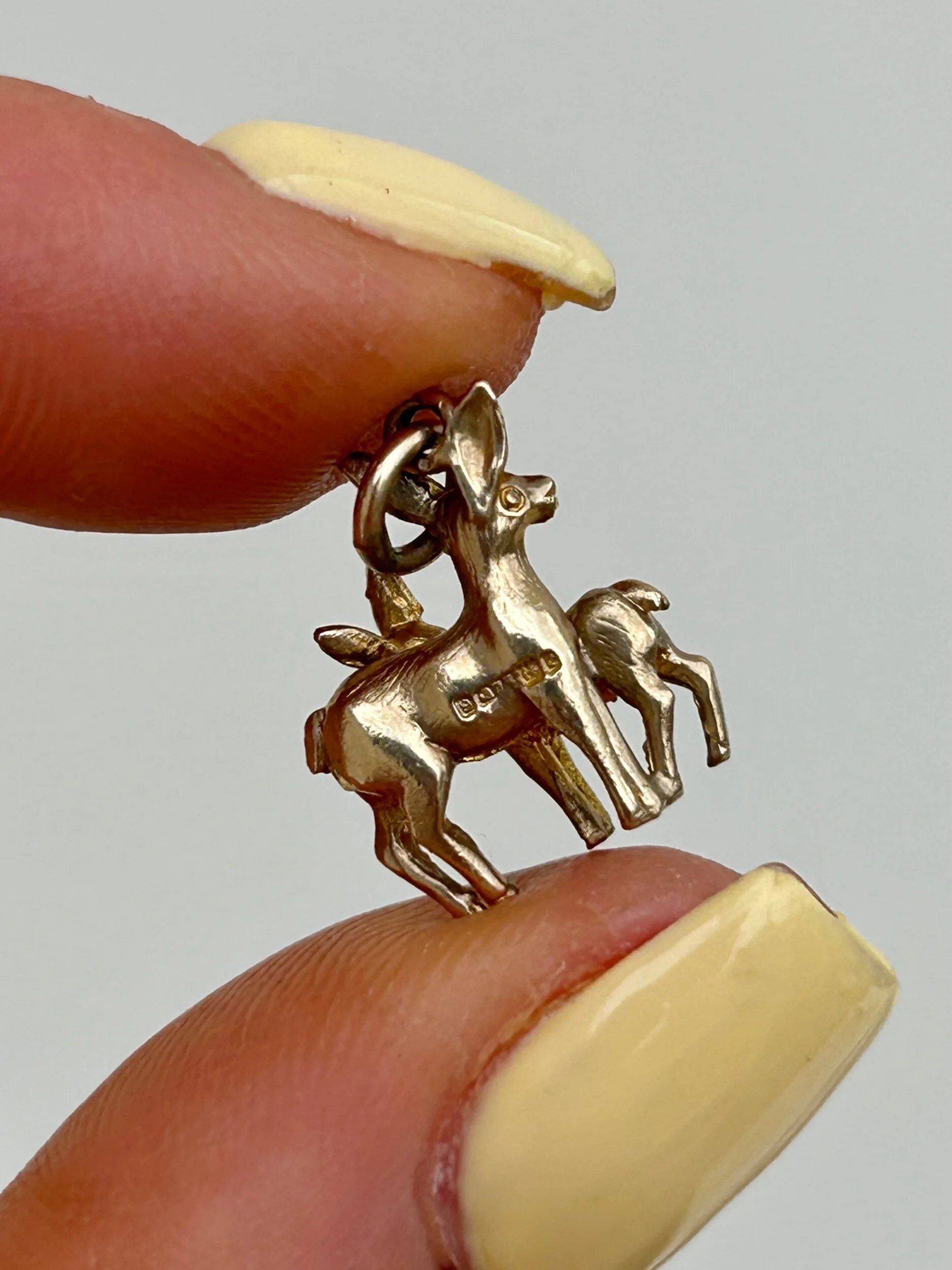 E583D196-E2ED-4FE0-9E06-82D2EC788412