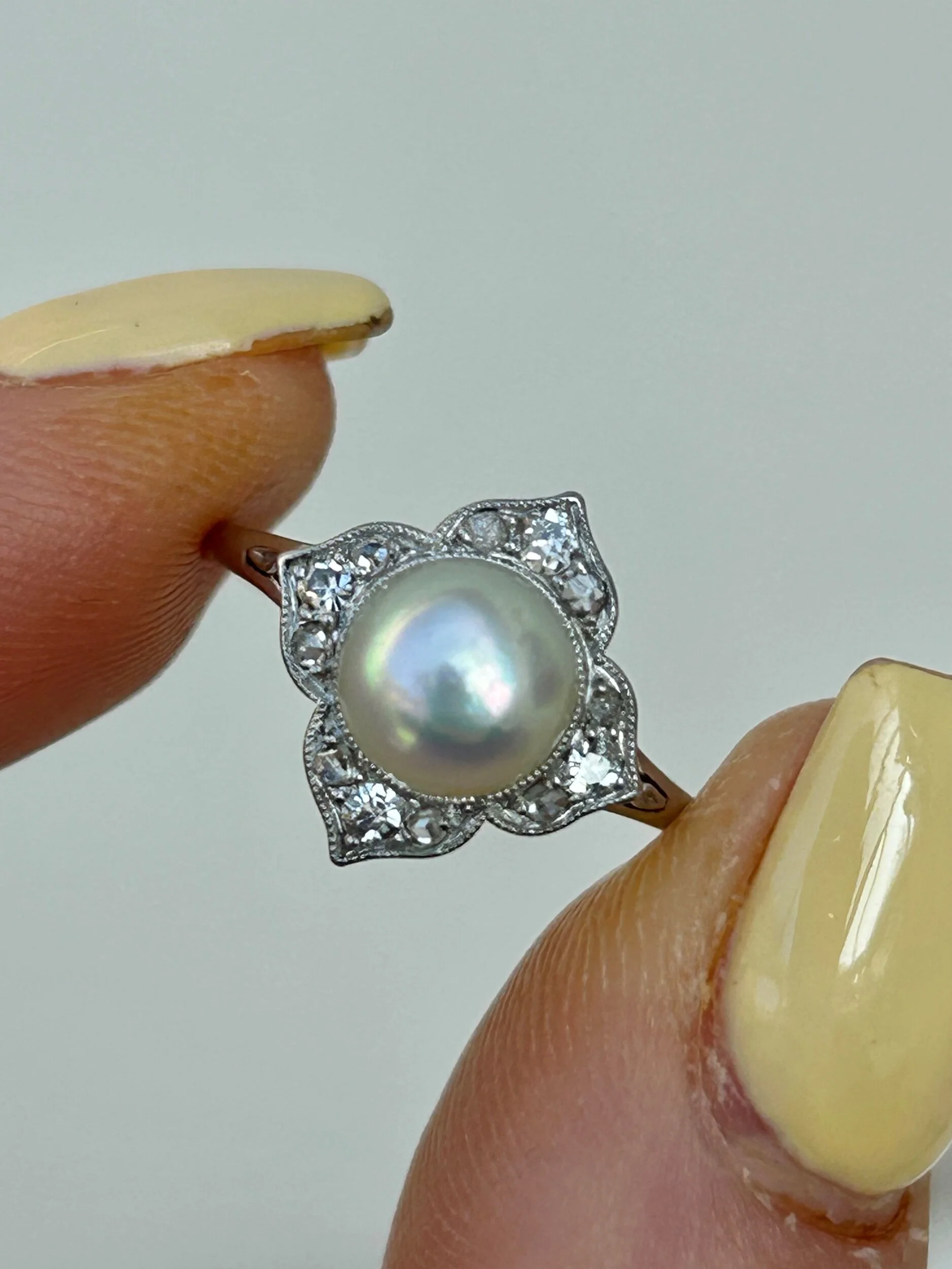 4E05CDF0-E975-45A8-B471-27615580C73B