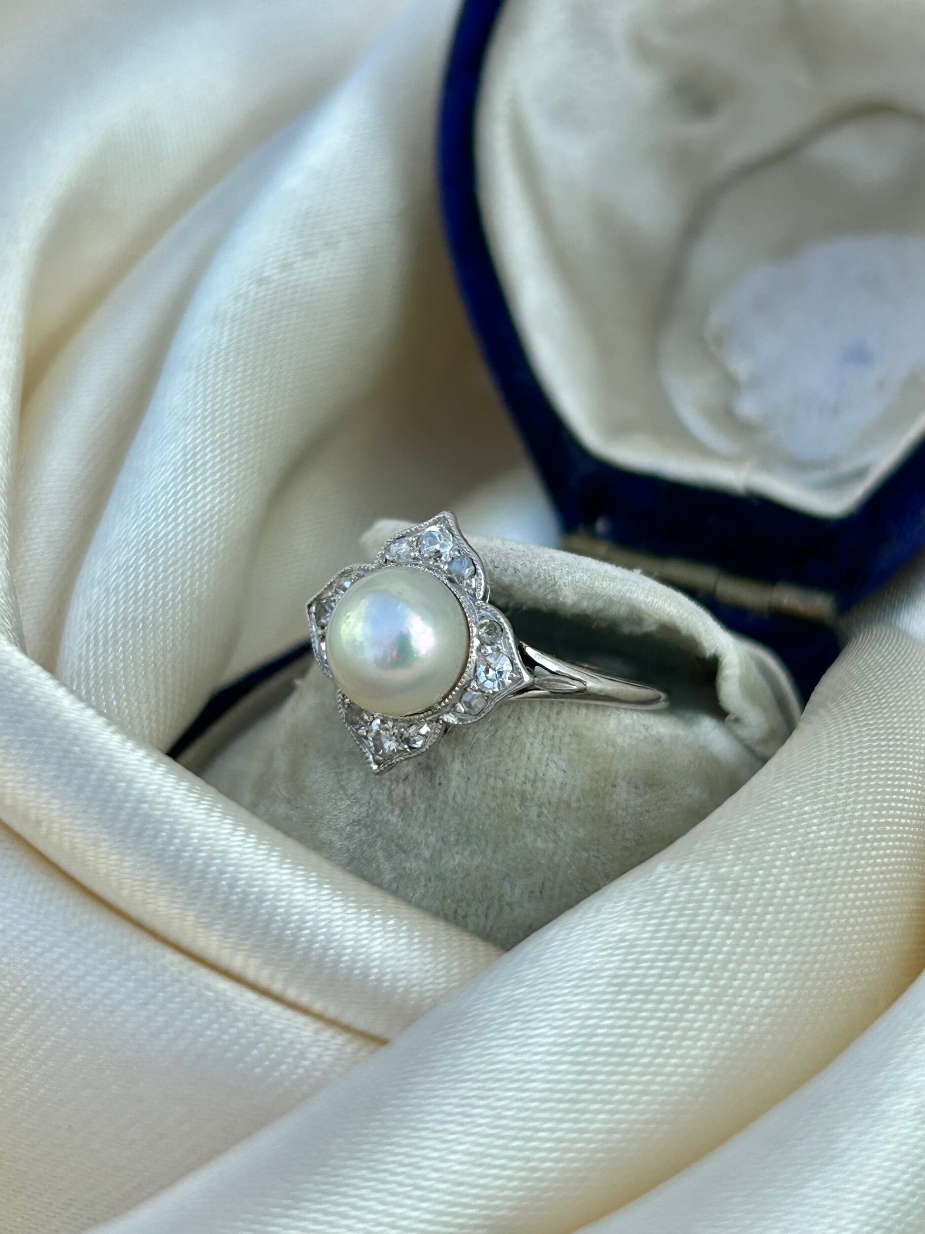 CA58E17D-A95D-4FB9-9D1E-373BF83325B3