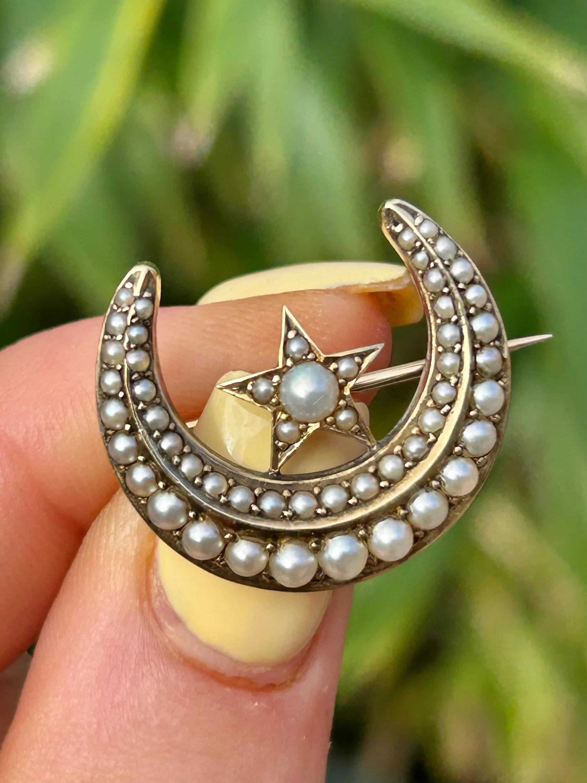 0127E597-BCAE-4B74-B6B5-408773B77DF4