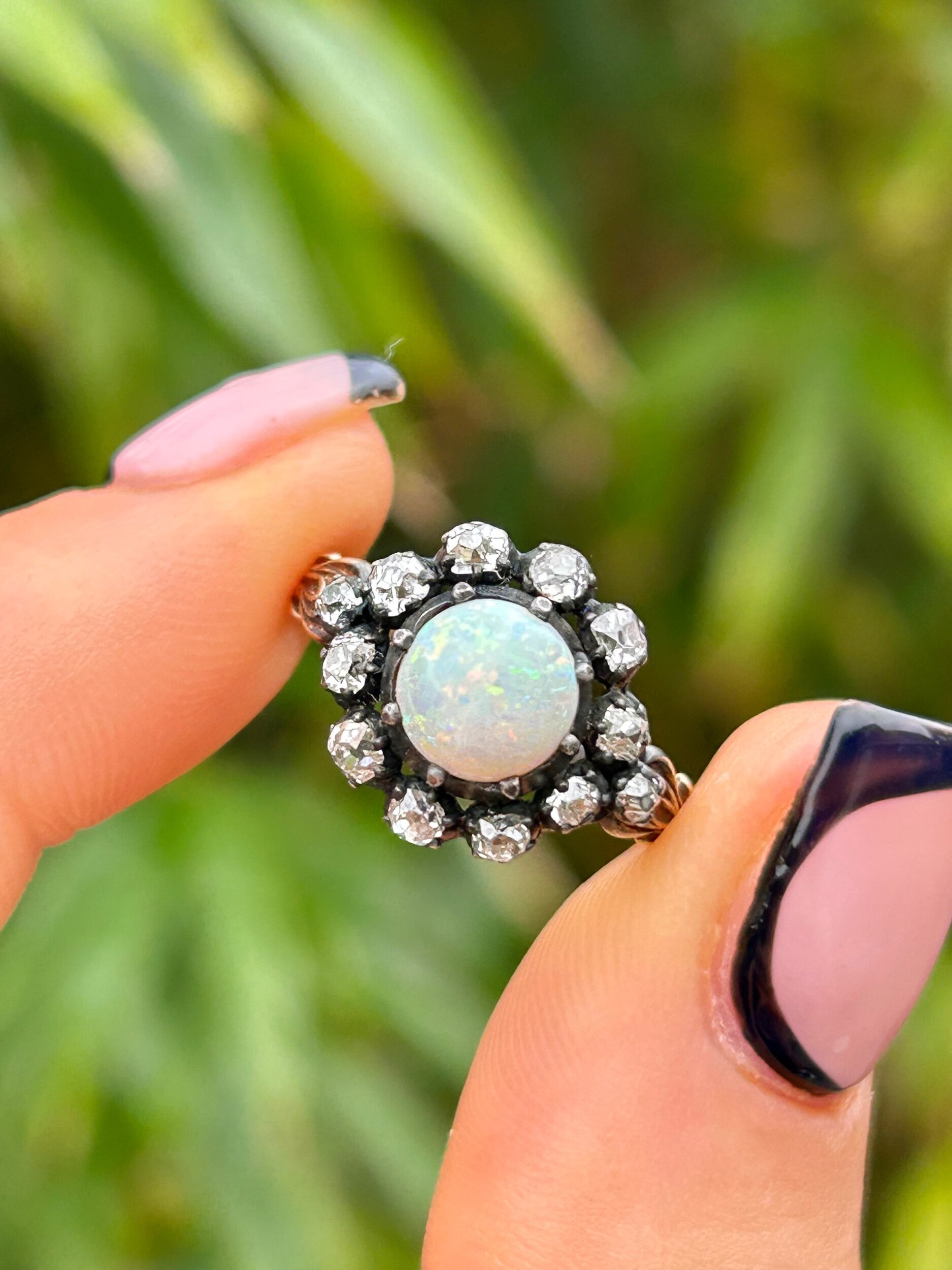 BD8D33D8-7121-4180-B6F9-AD63E17F3EFF