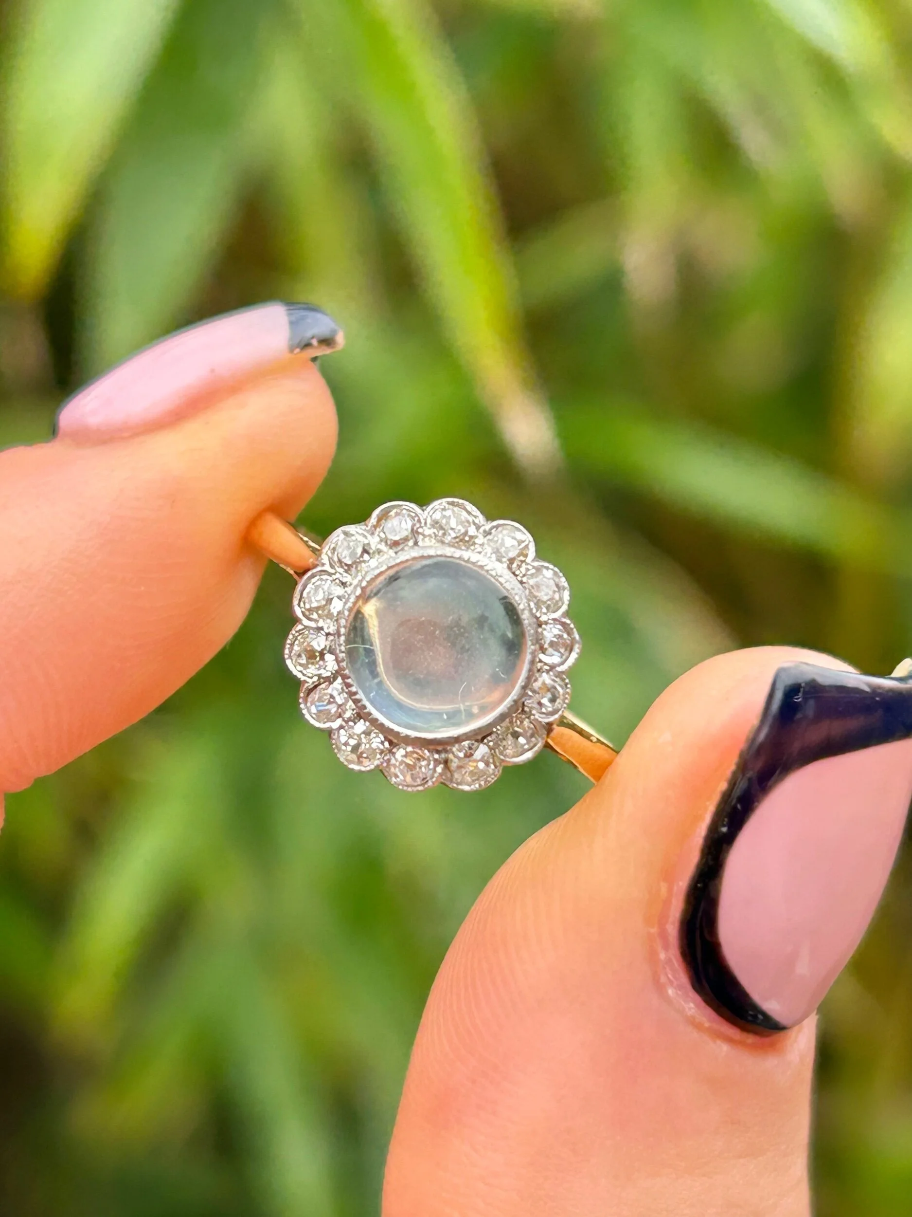 3C8AB034-DCDA-43C2-954A-107F438B1146