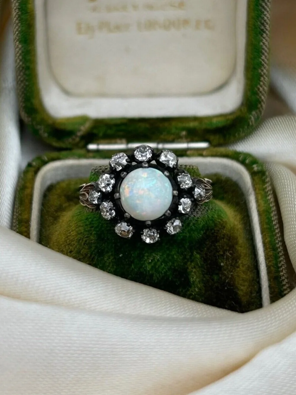 51A5F8CC-E336-4BCE-B191-CCE0C19782B8