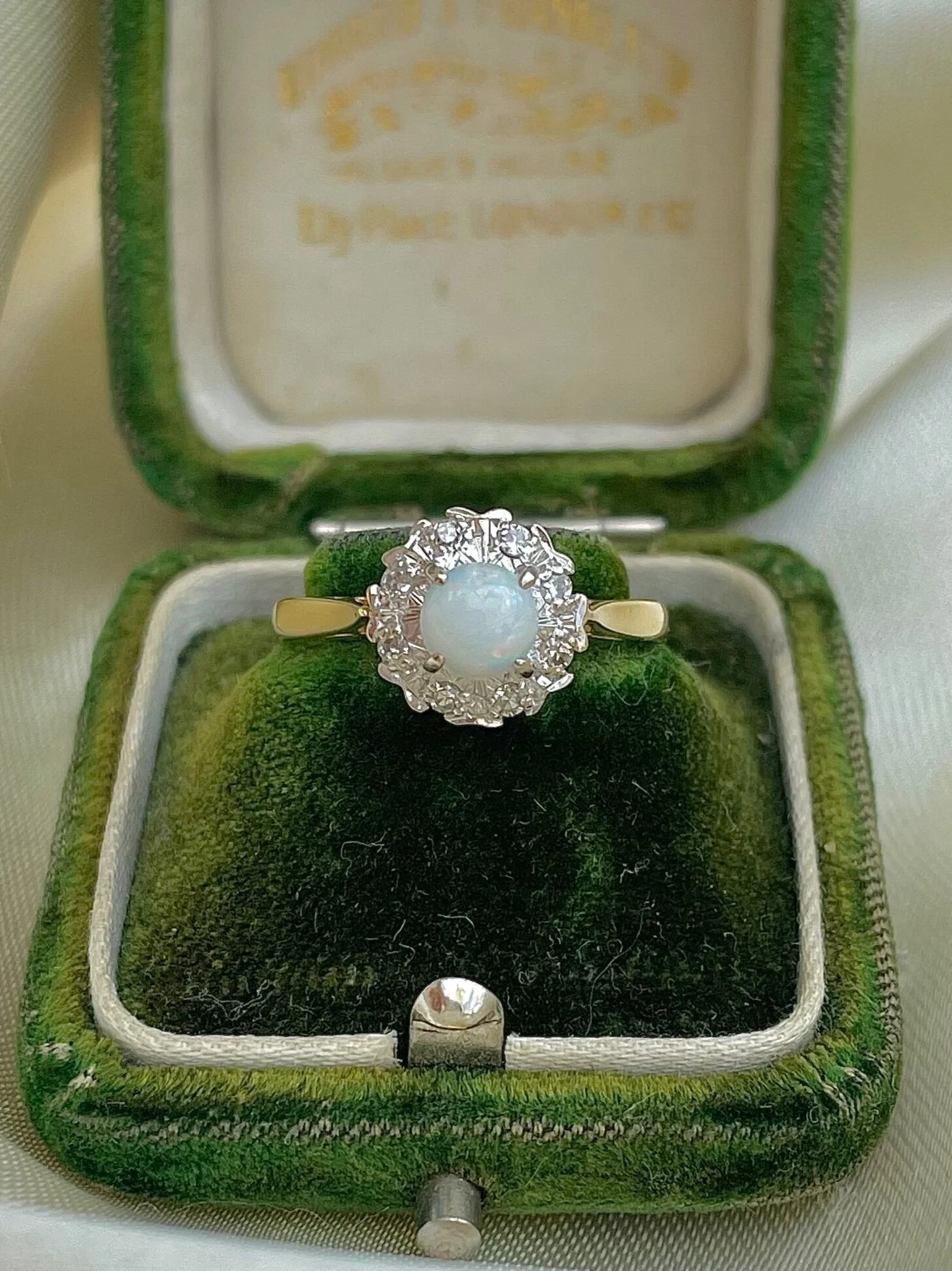 1F3E82E9-C4F5-4F36-B5DB-20D36B012308