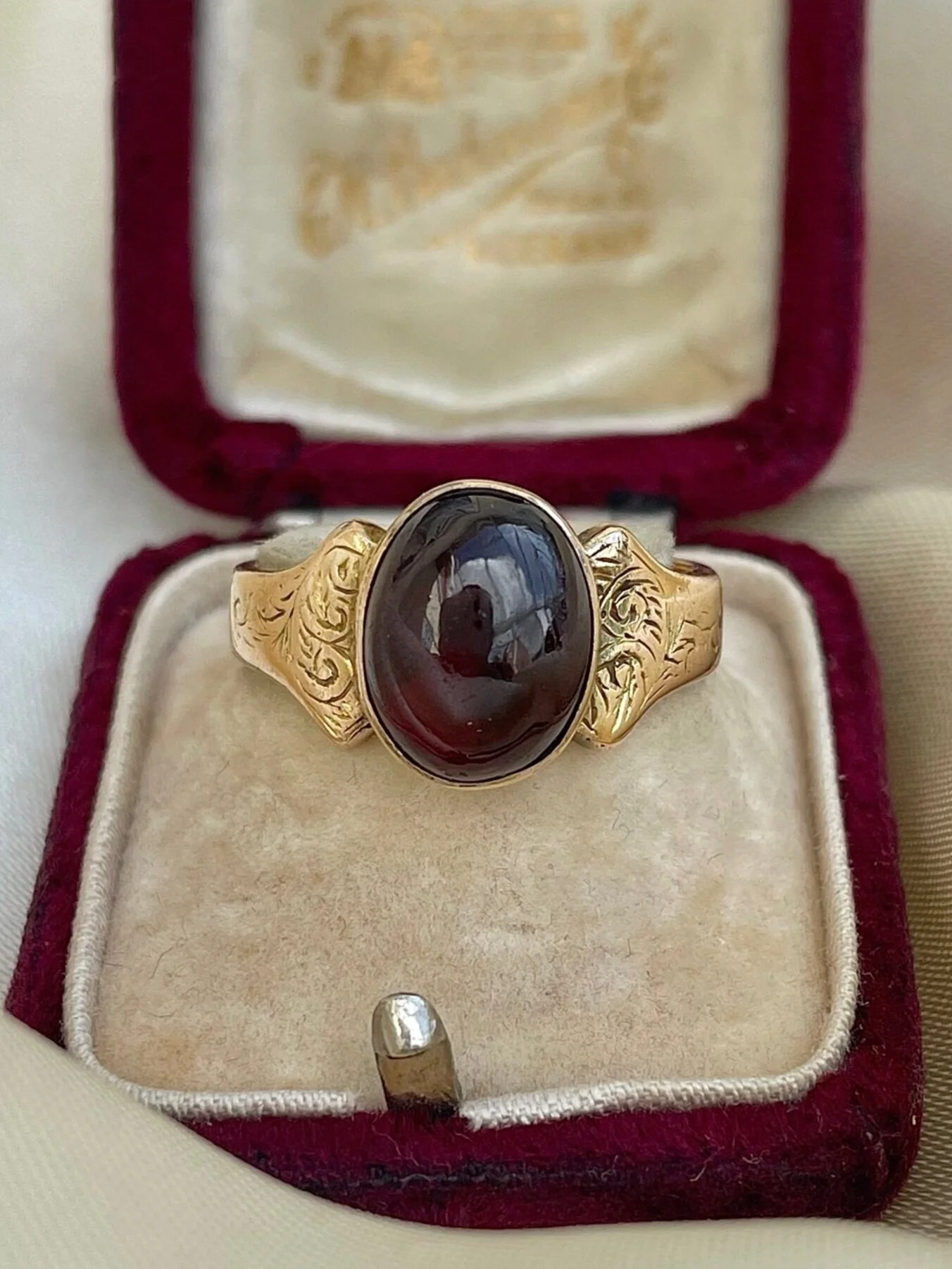 B57C1550-CF74-4473-A45A-78F58DD514E3