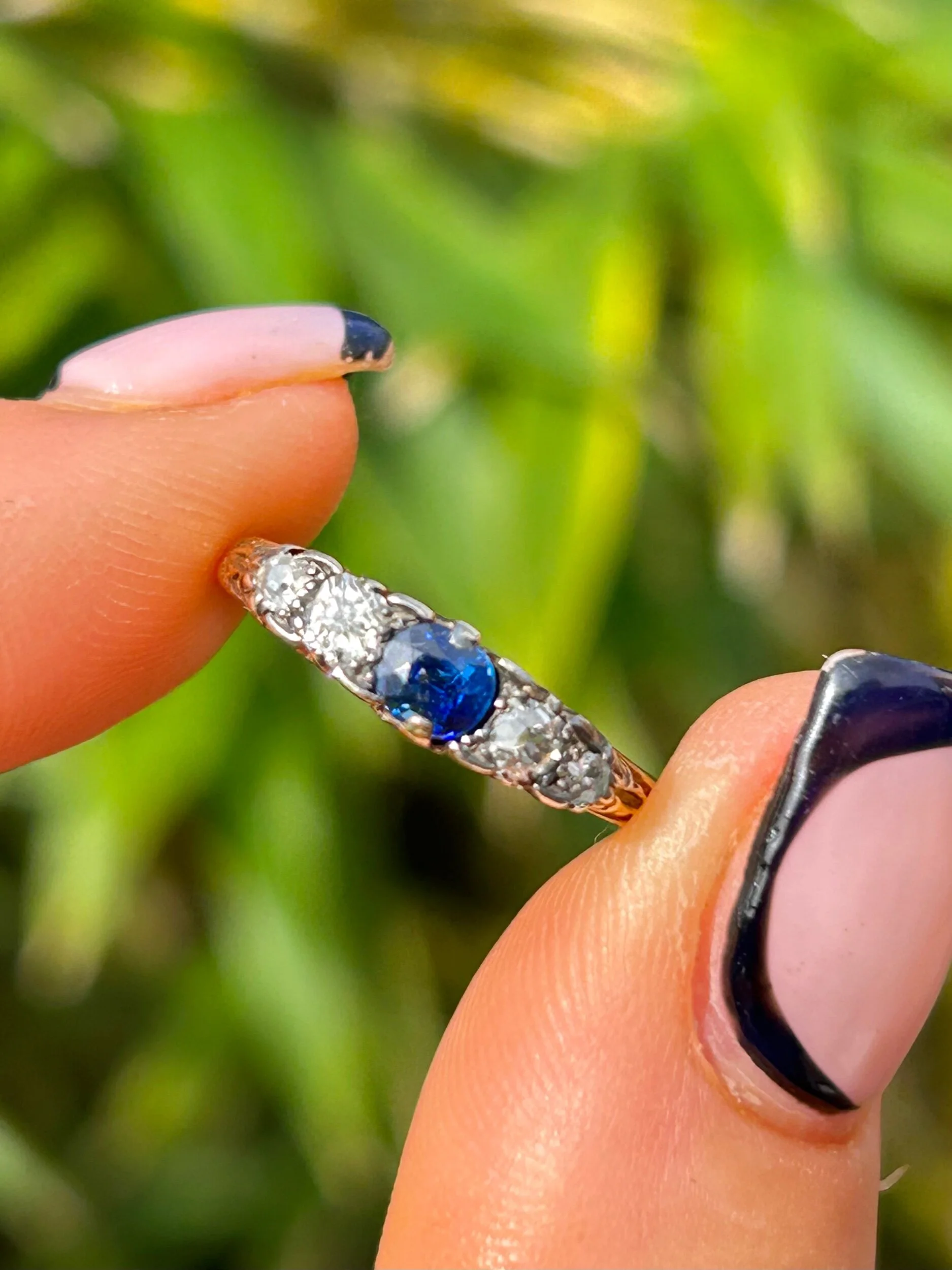 23A66902-4AB2-48CB-96C6-031099AF56BB