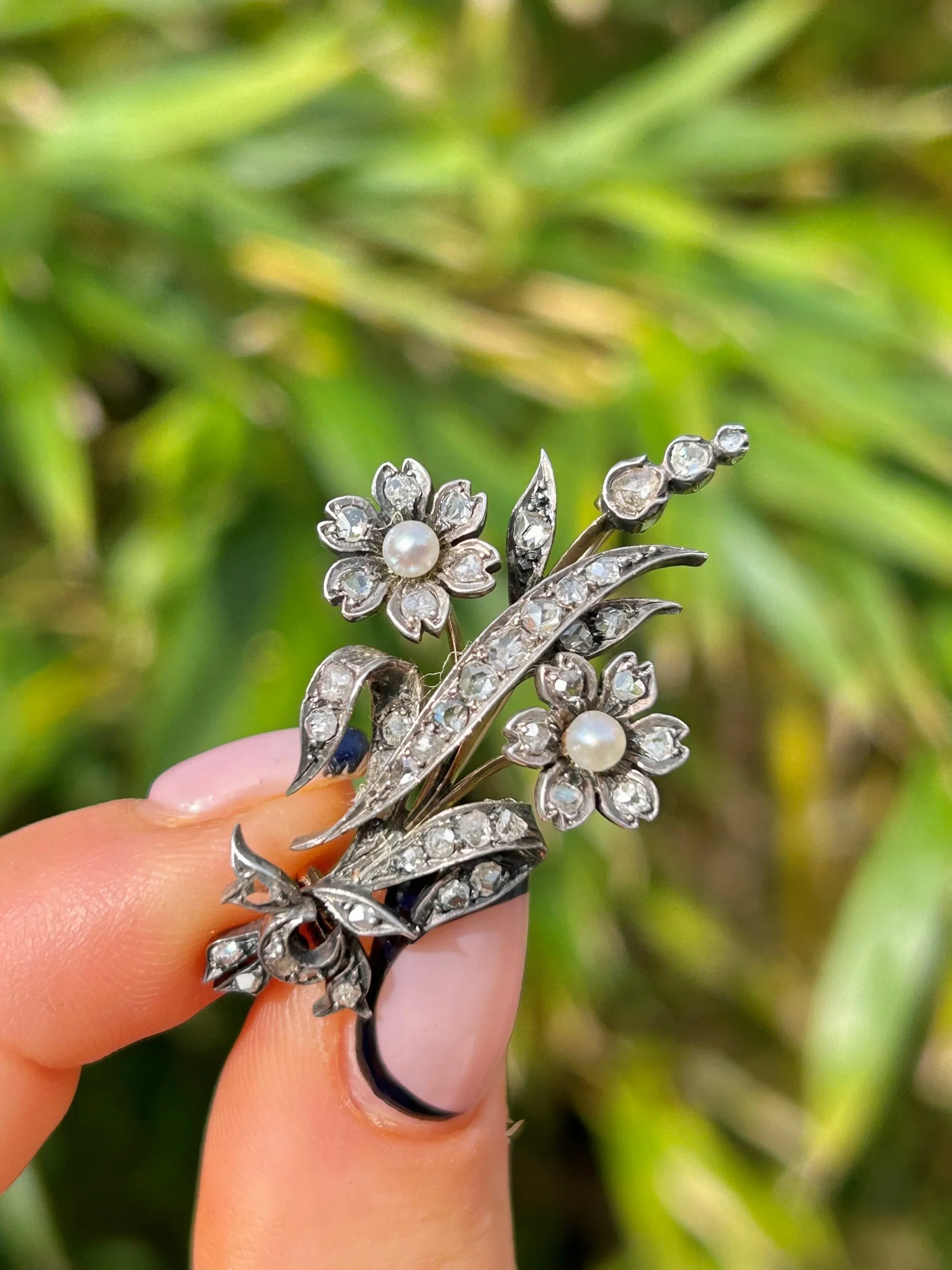 13266E79-F241-4710-BC59-31BA68993698