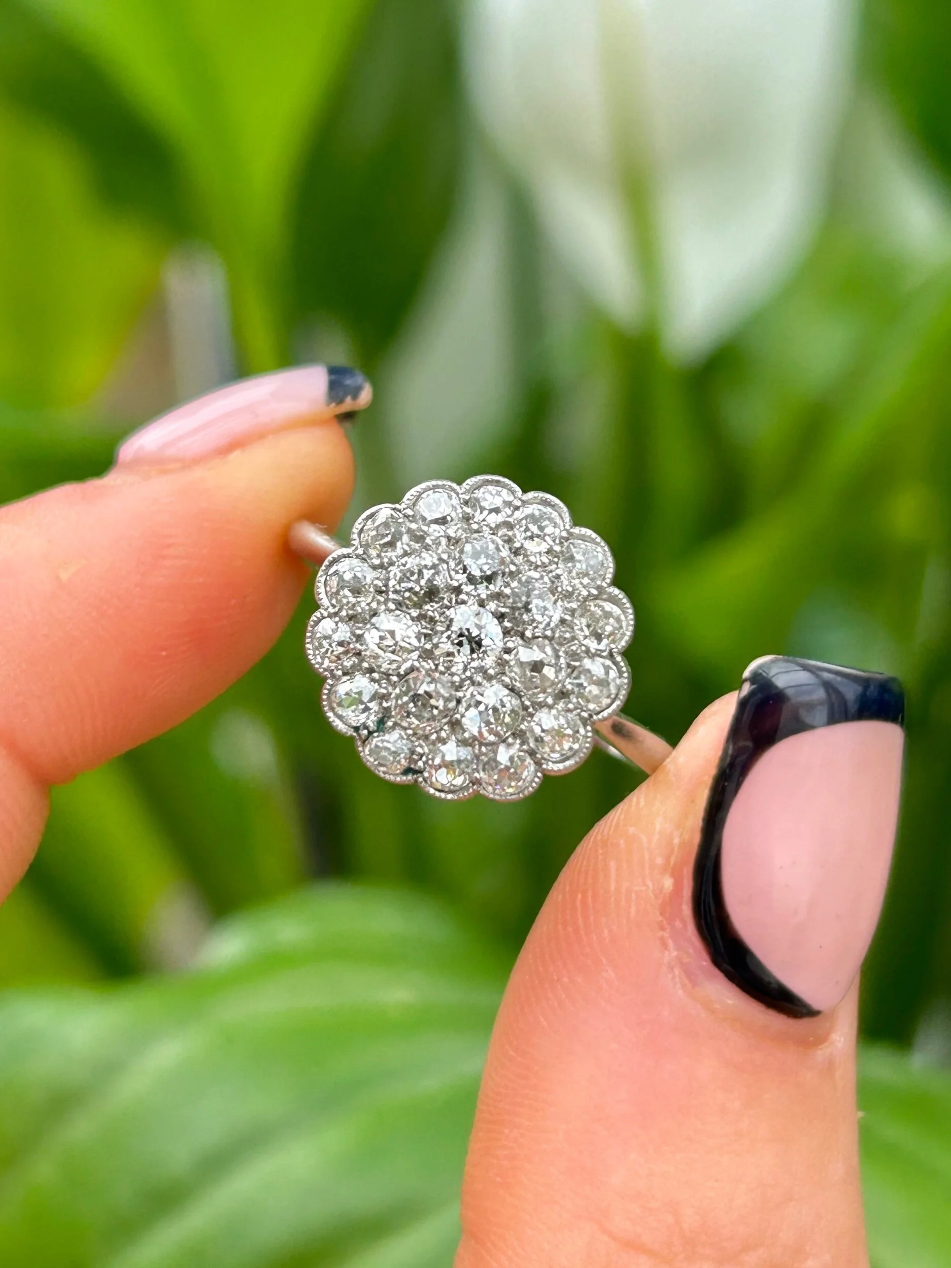 C4FF666D-6547-4595-ABB6-693CCD6AB27D