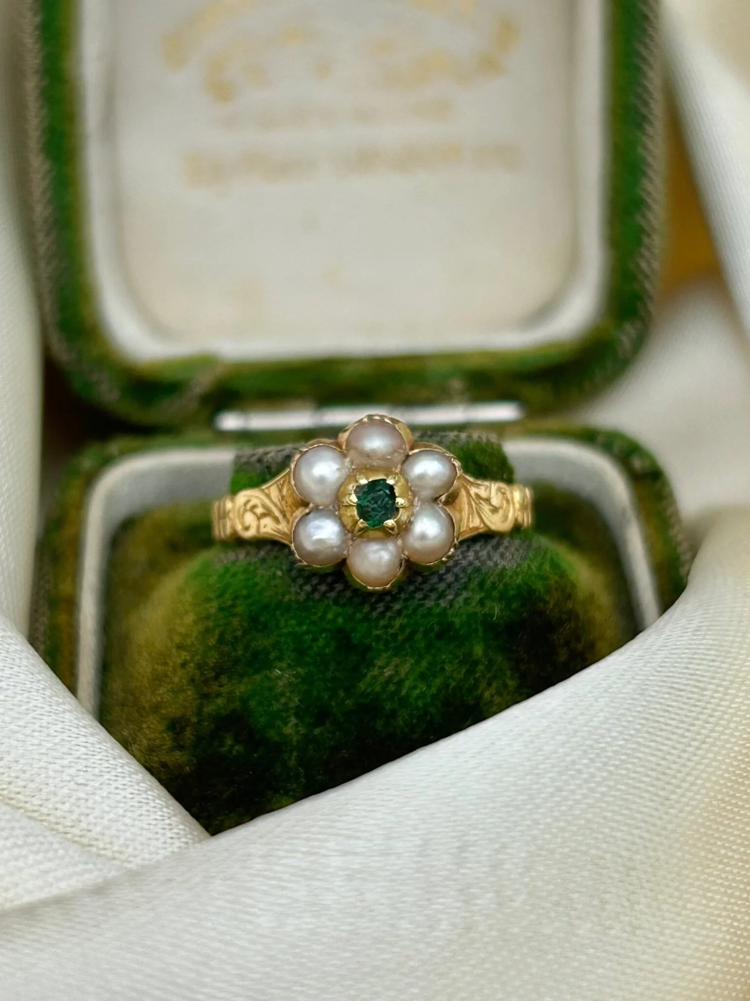 2120A1E9-AB22-4614-A714-AA8D8B5862FF