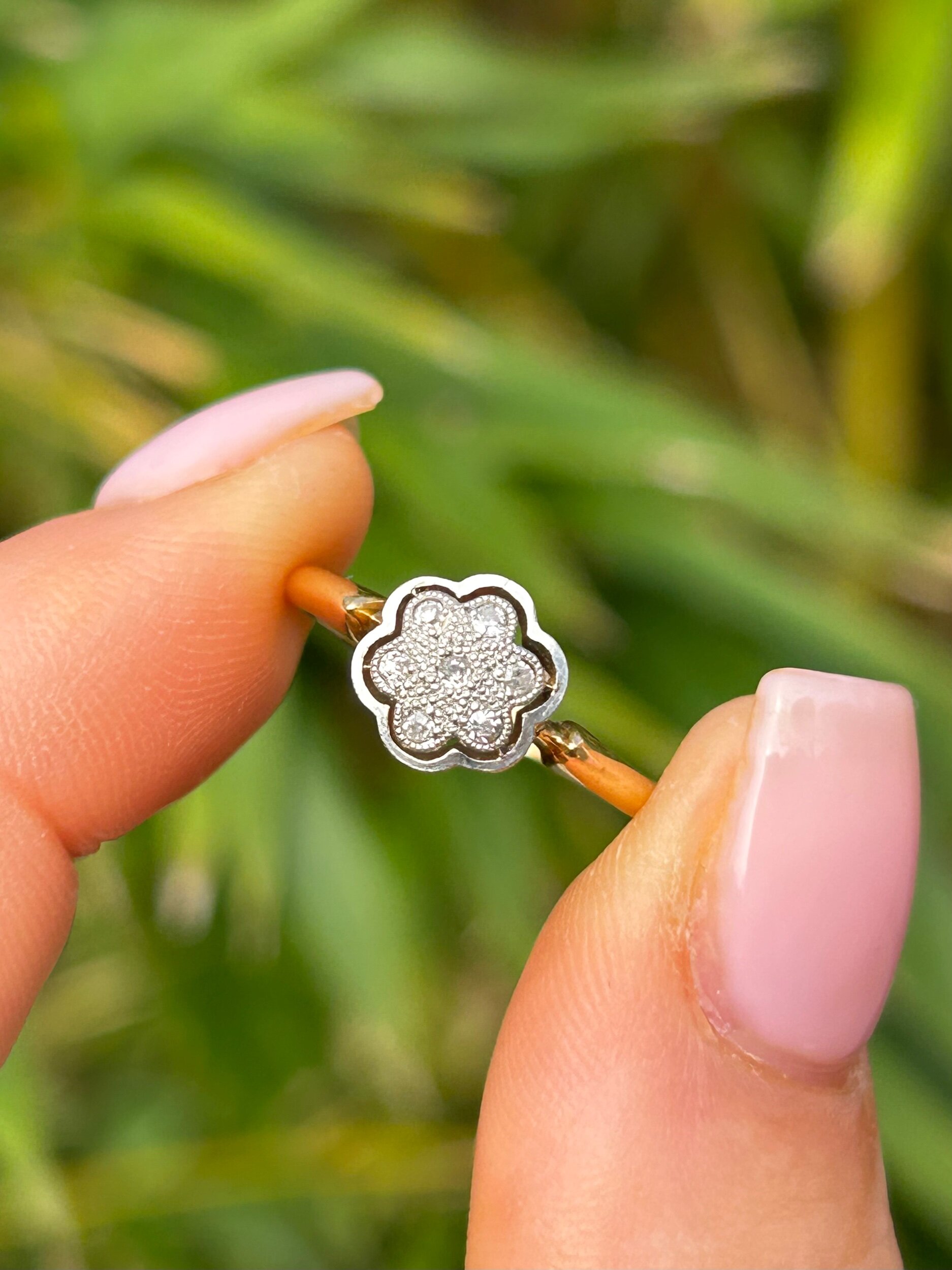 D62E51F1-41E9-4AE9-B7DA-BA456AAA6592