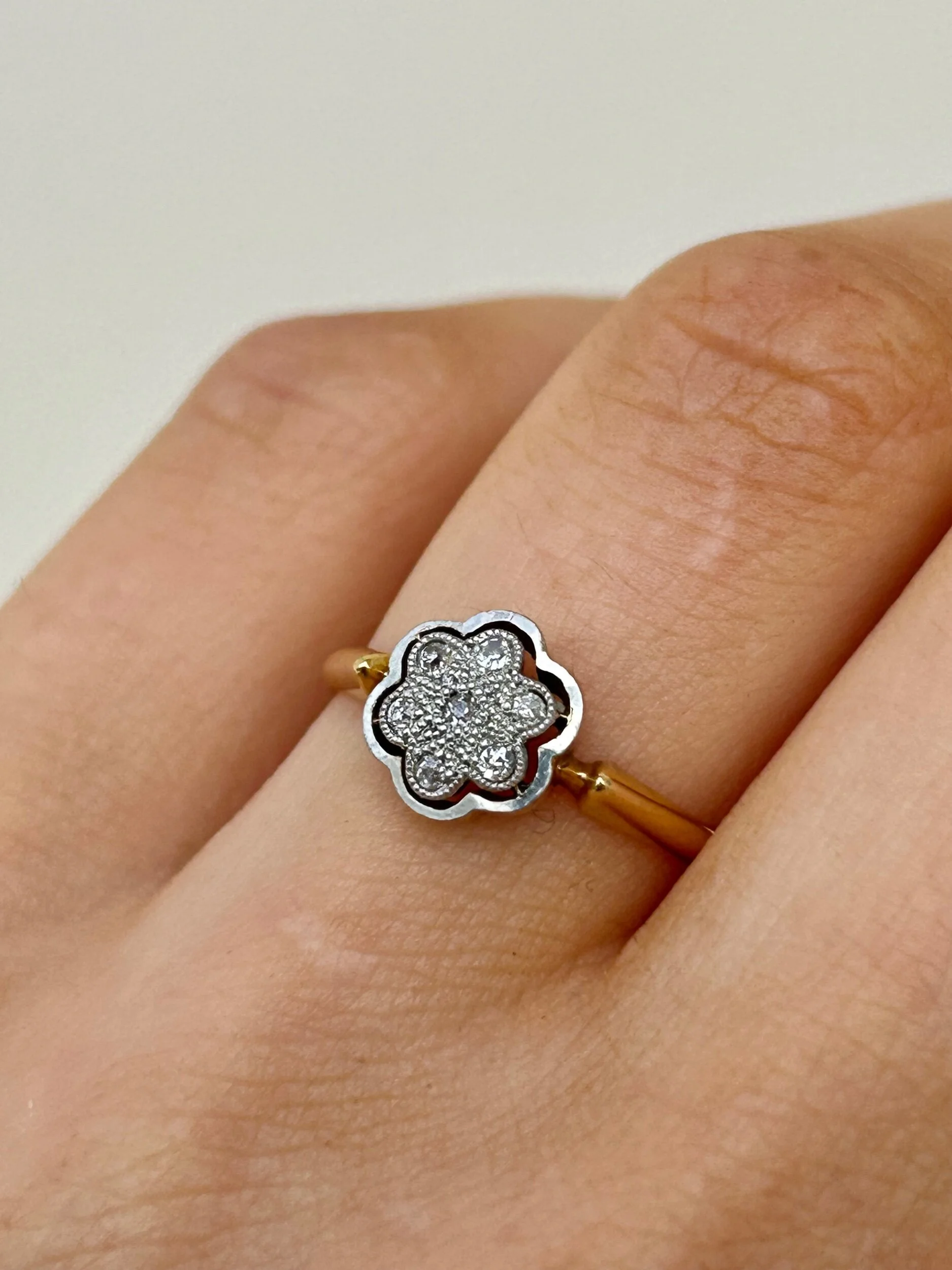 8F366981-B2A7-4A9E-BA4C-E7B55C466D37