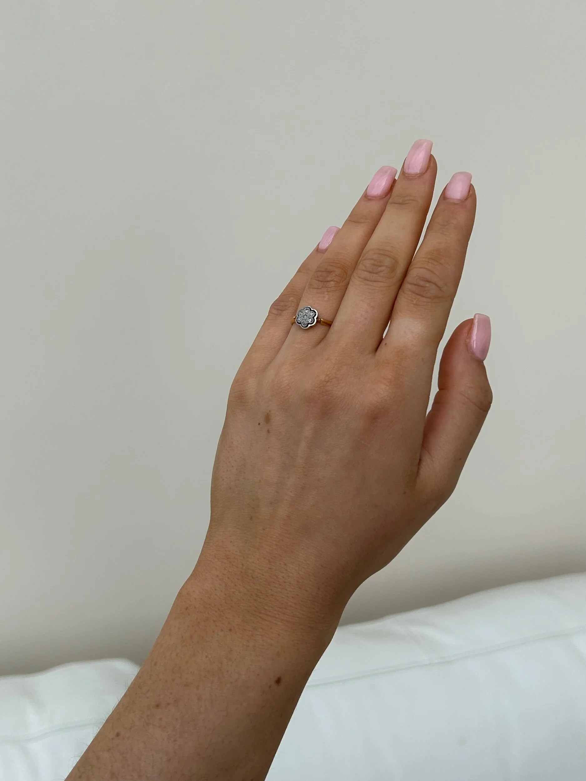 ADC454F2-61D6-48B2-BCB9-8619BEA467C5