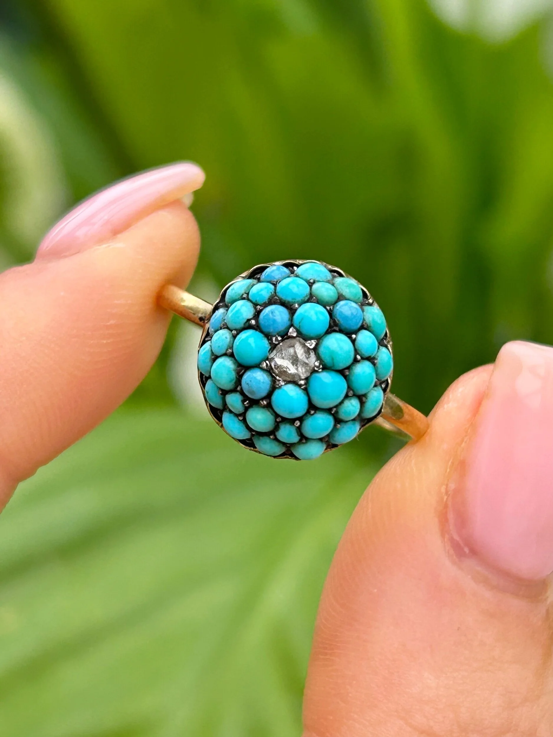 C096E06E-A97E-43BA-8009-43F65745072D