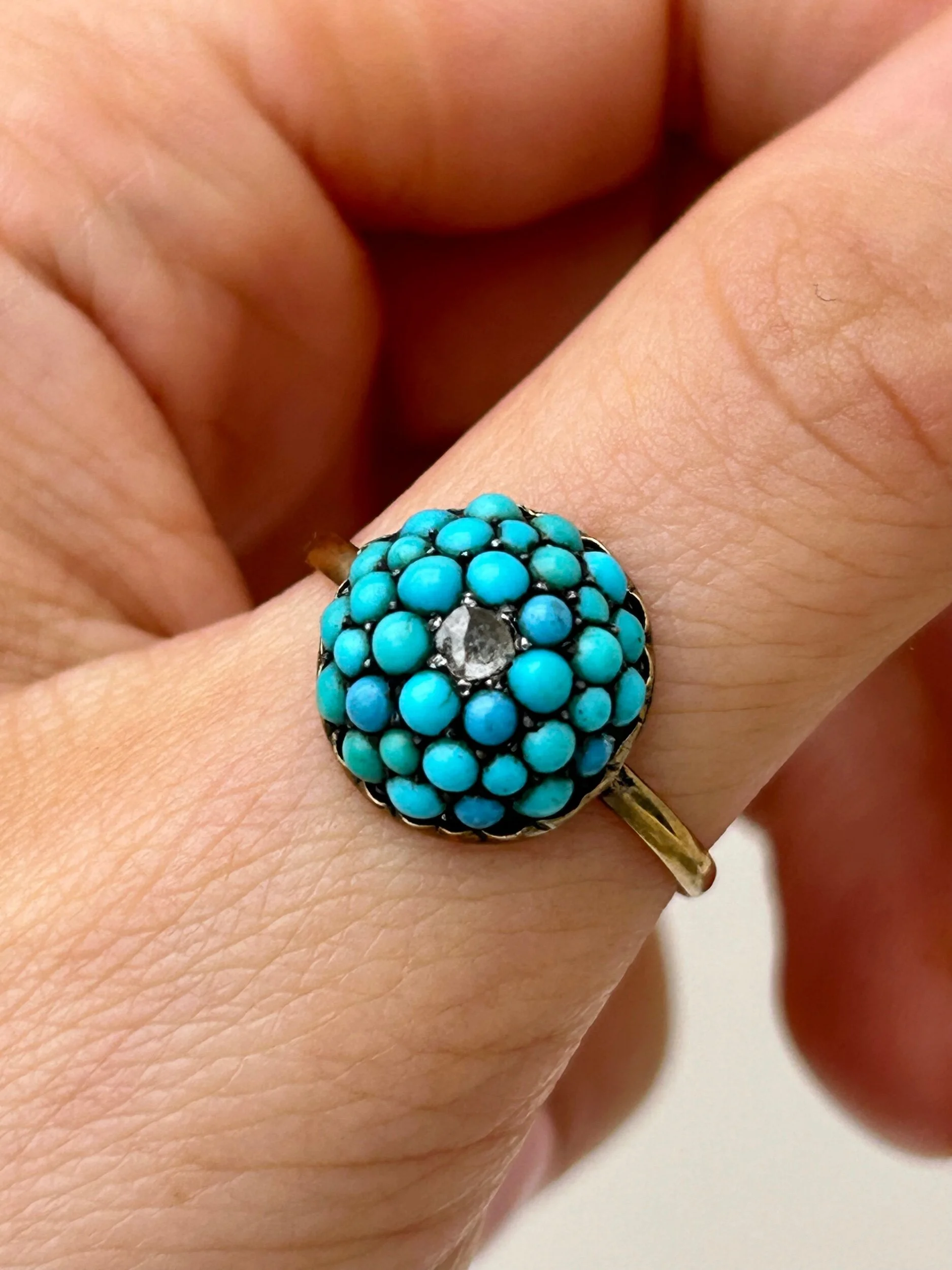 C5DCF3A7-19FB-43E2-BD24-C99F73A1BC5C