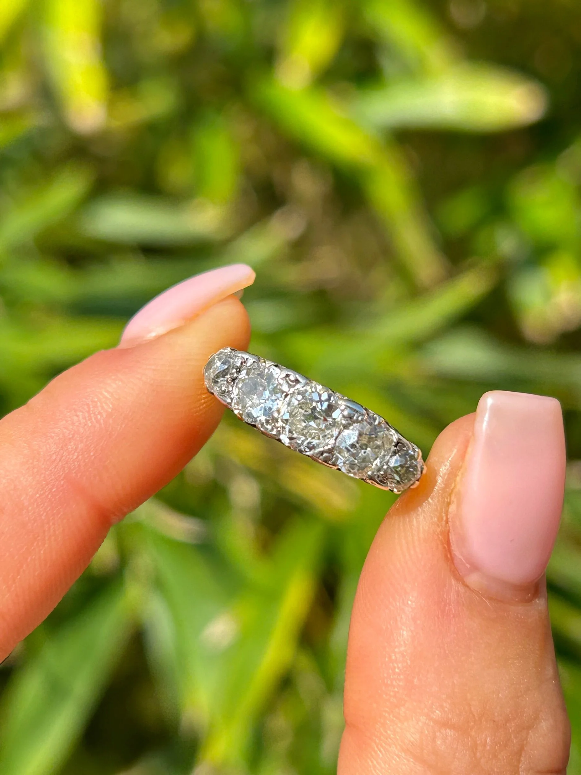 85D5EE53-B8DA-48FD-ADC4-A0306AC29CF0