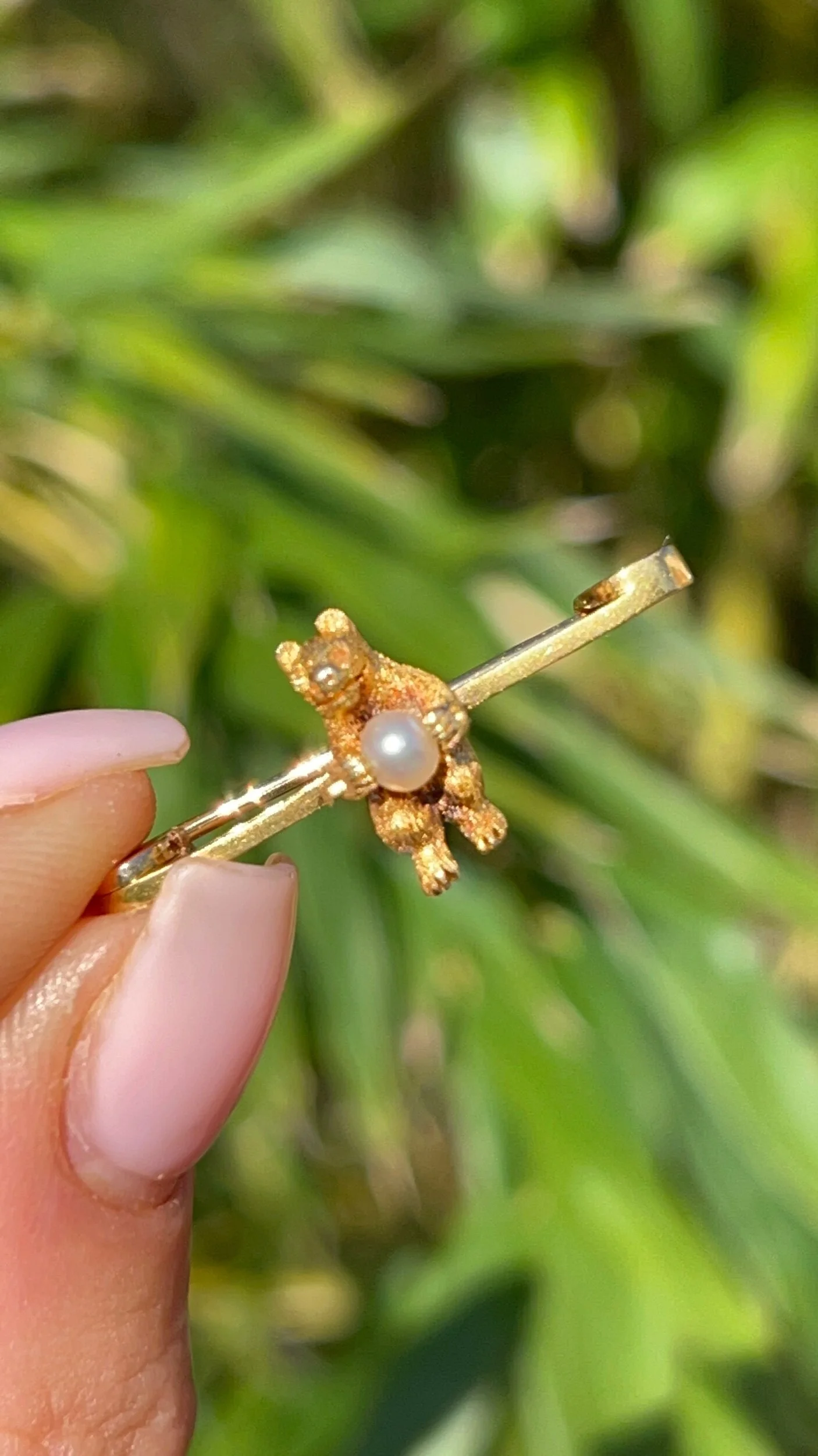 37D8E034-CA73-4A68-9A91-566576DDC654