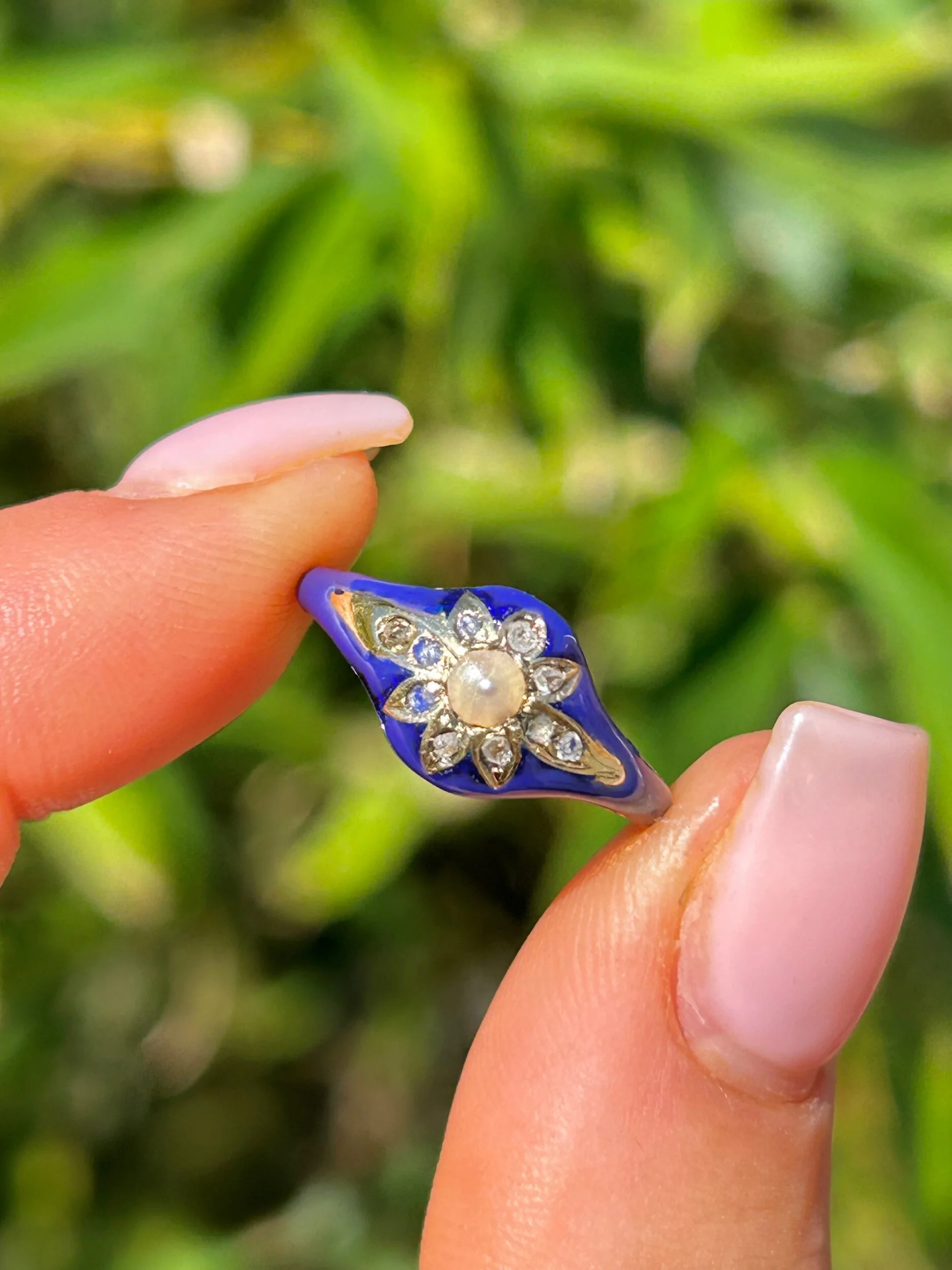 167655F6-2585-4CA9-BA0A-DC01EE74F2D7