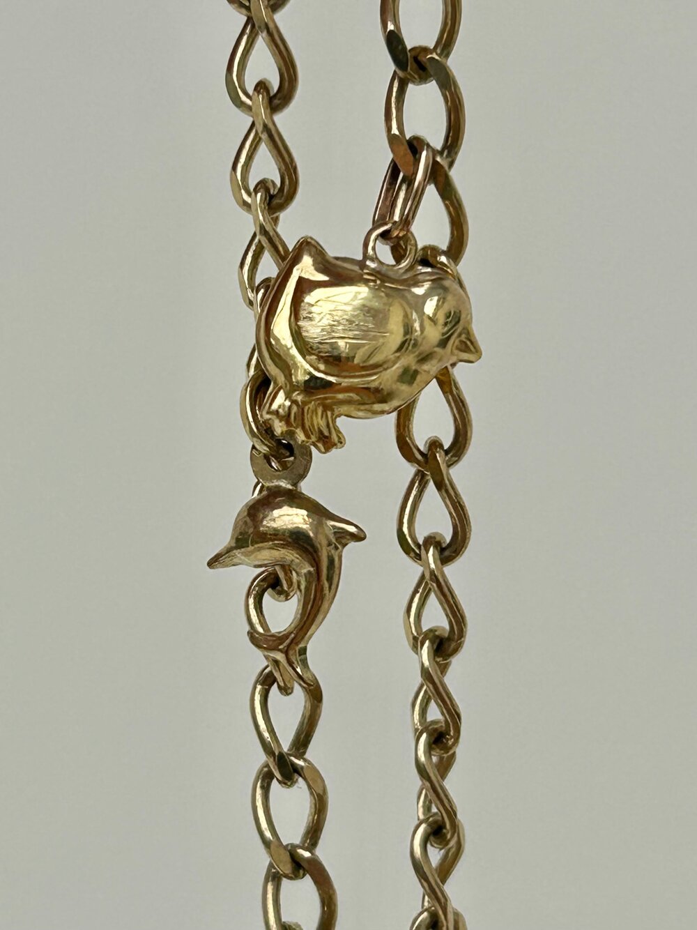 9ct Rose Gold and 9ct Yellow Gold Charm Bracelets (Bracelet type: Yellow Gold Charm Bracelet)