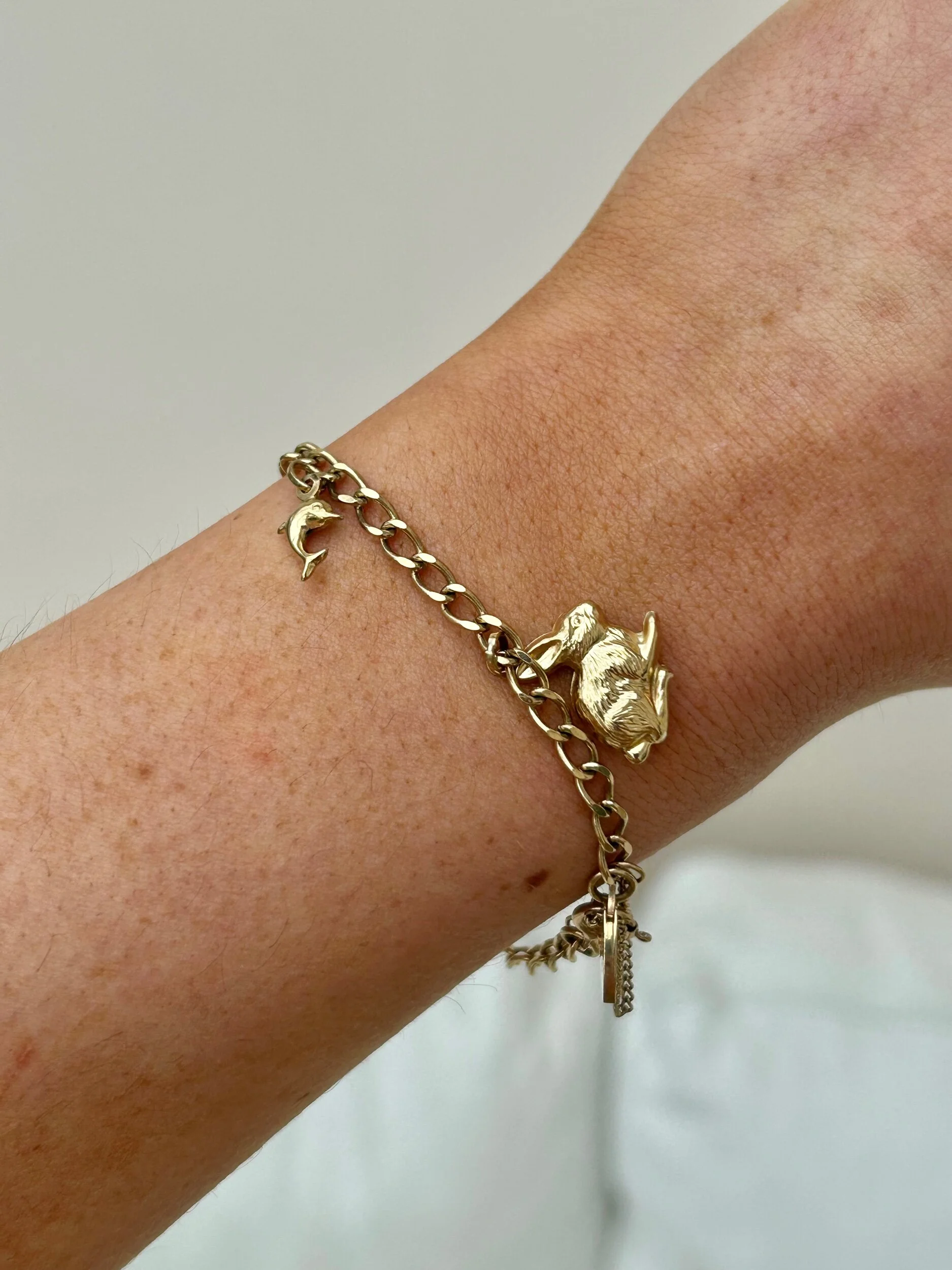 1F1EEE8A-0065-491C-82DB-FAB1B0711C12