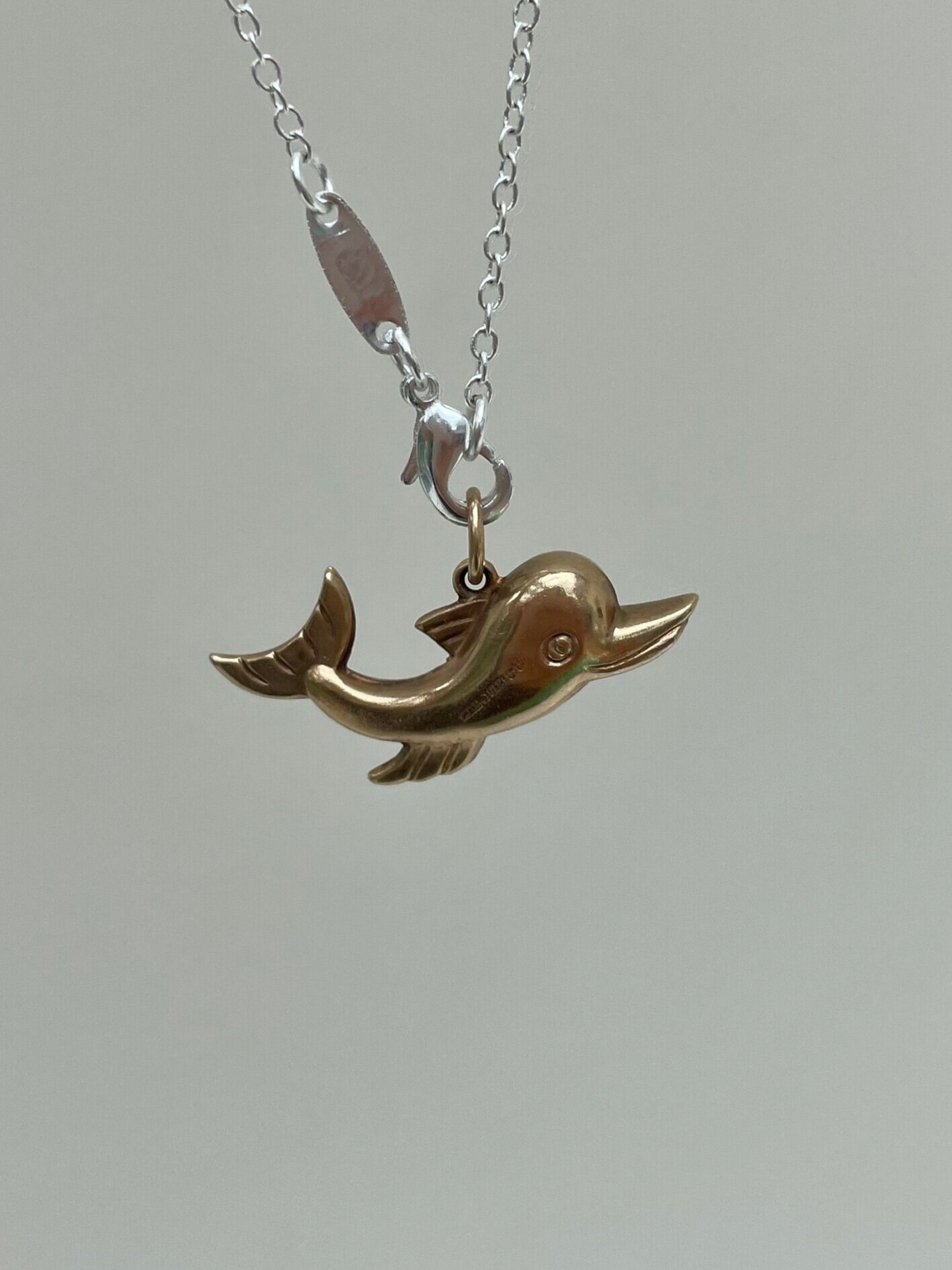 56BDC99F-219F-4BA9-8116-03B454DCB12F