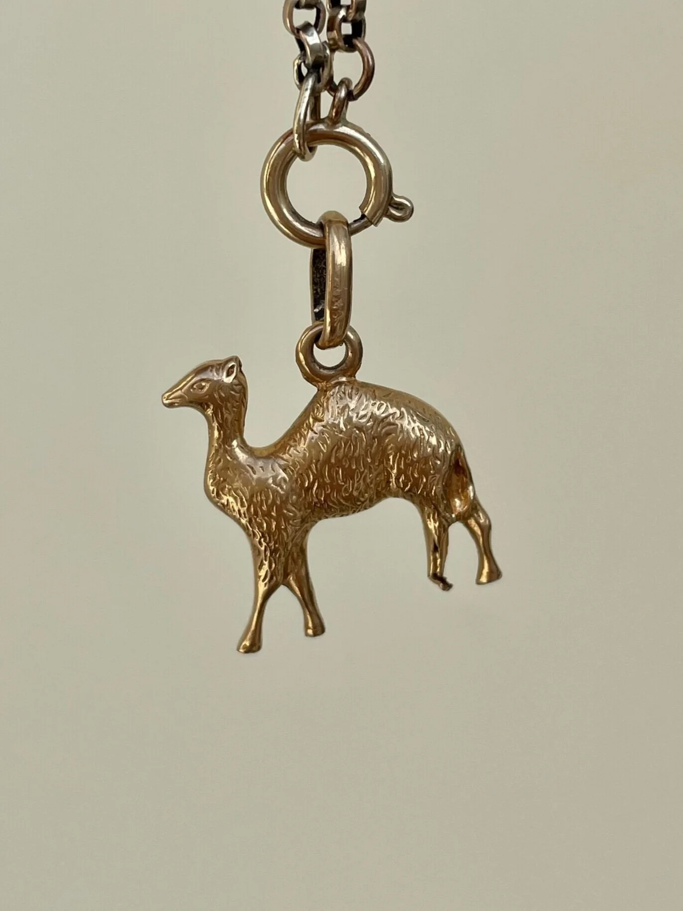 8CEDE47B-9412-4808-A607-E2D909D993F1