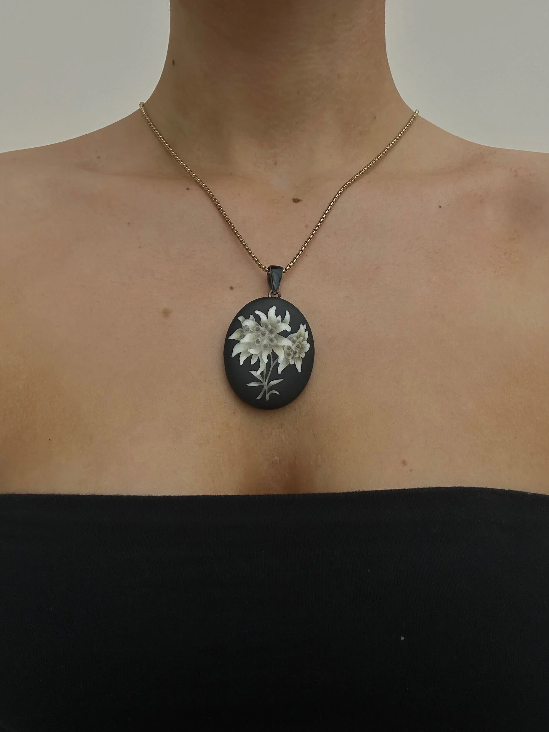 FF74F558-E0D9-41F7-BAA1-CFFA17348C3A