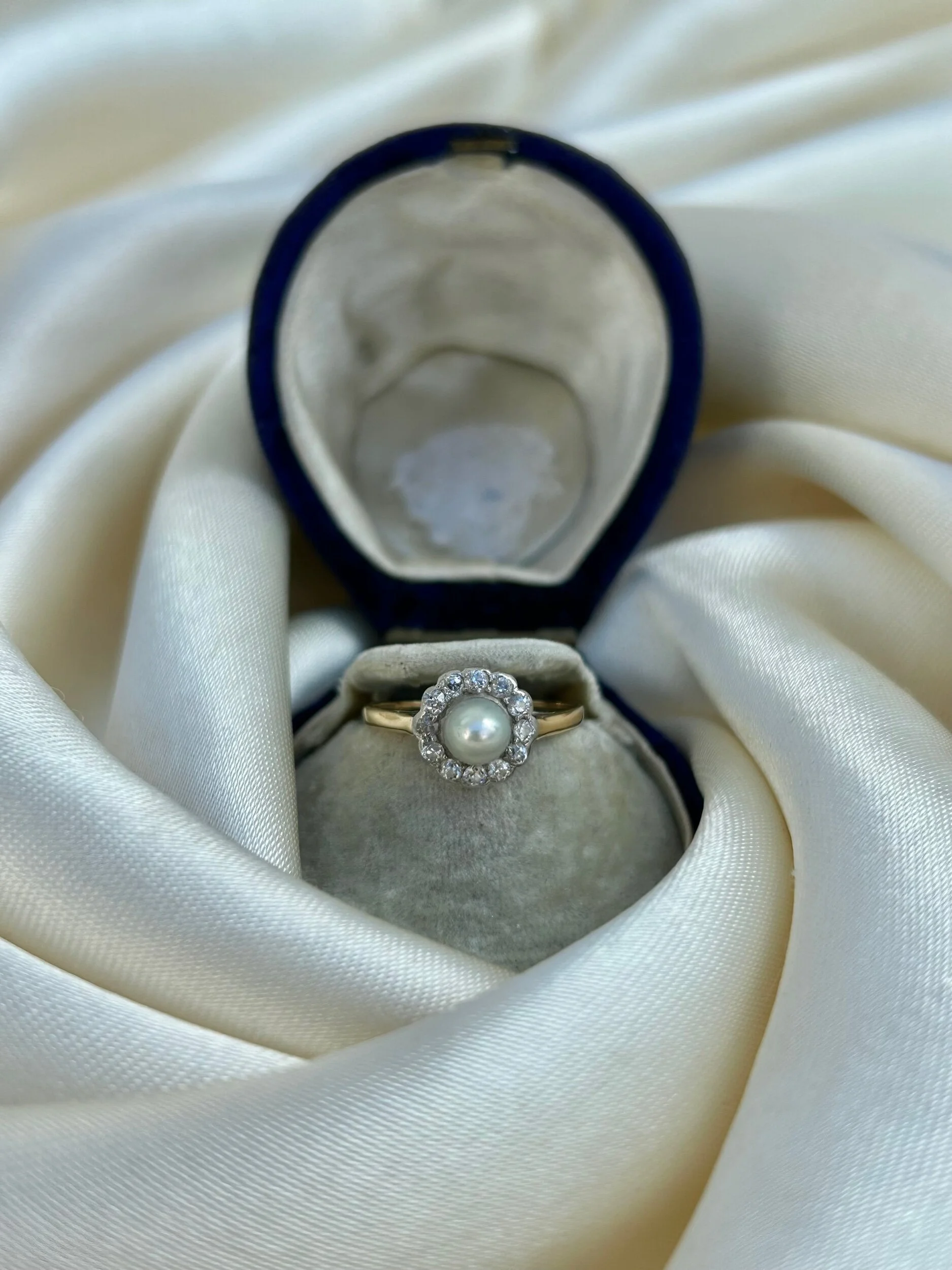 1E20AE51-8424-4D2E-AD49-6D197CD41CCA