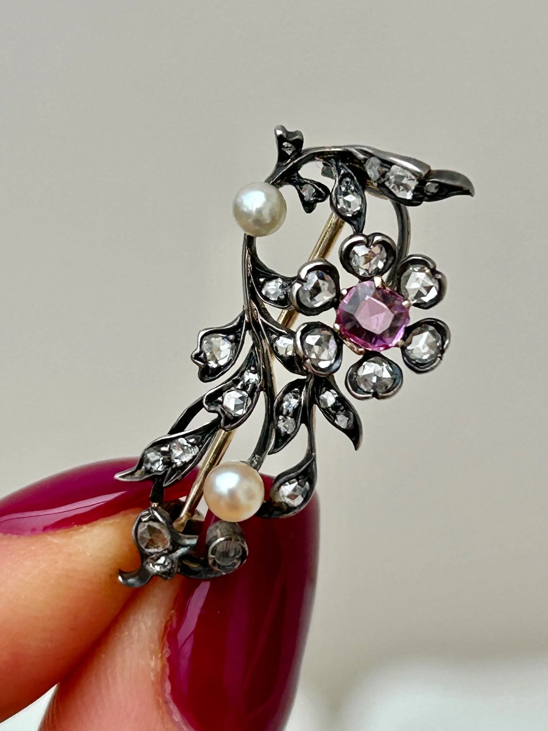 8DBFE99D-121E-4613-A4BA-FA8D53684A17