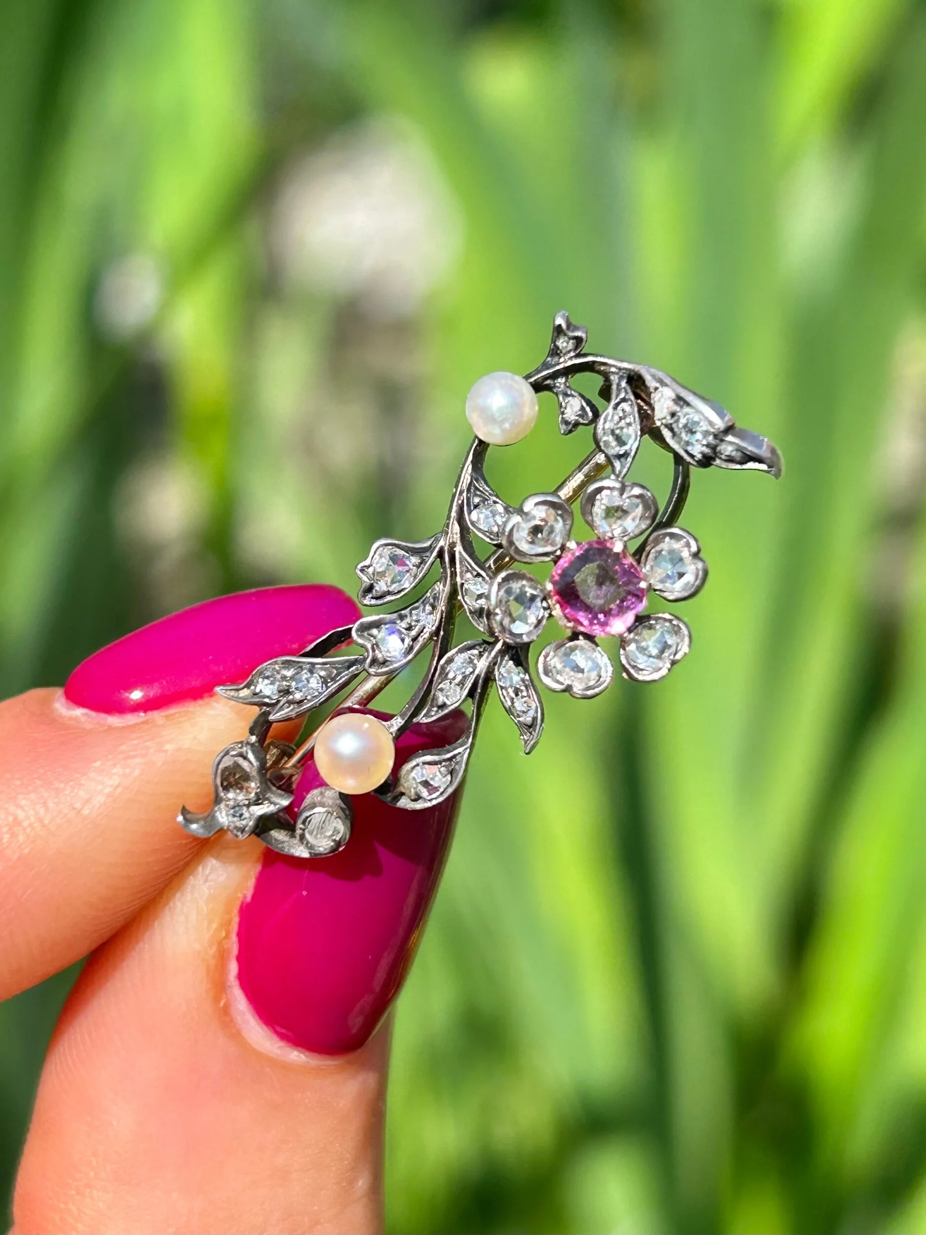 C7AA2494-7FA1-4176-979B-6018B06D290F