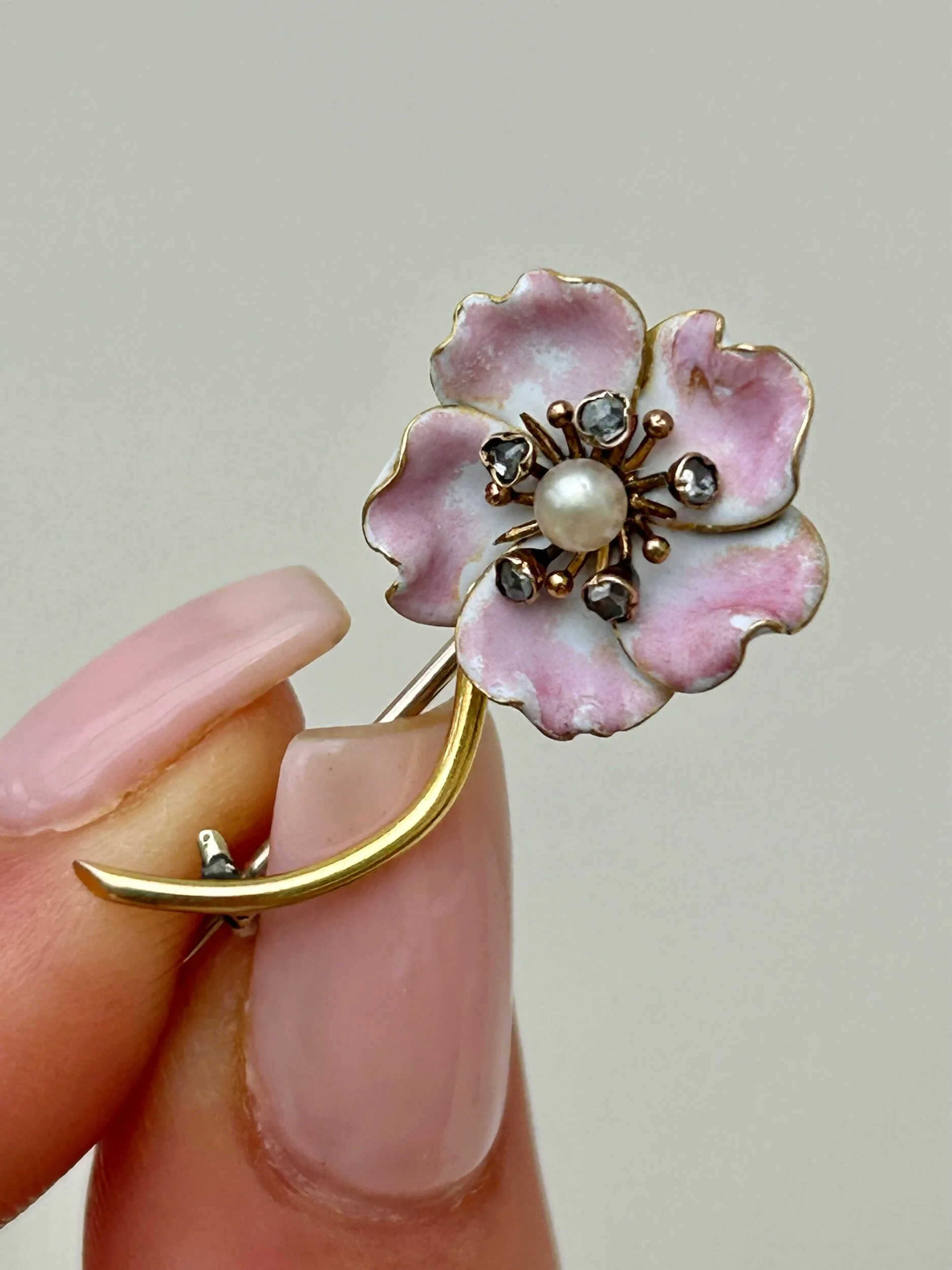 F617EA53-AAE9-4D02-A1CA-28E8F1EC03BF