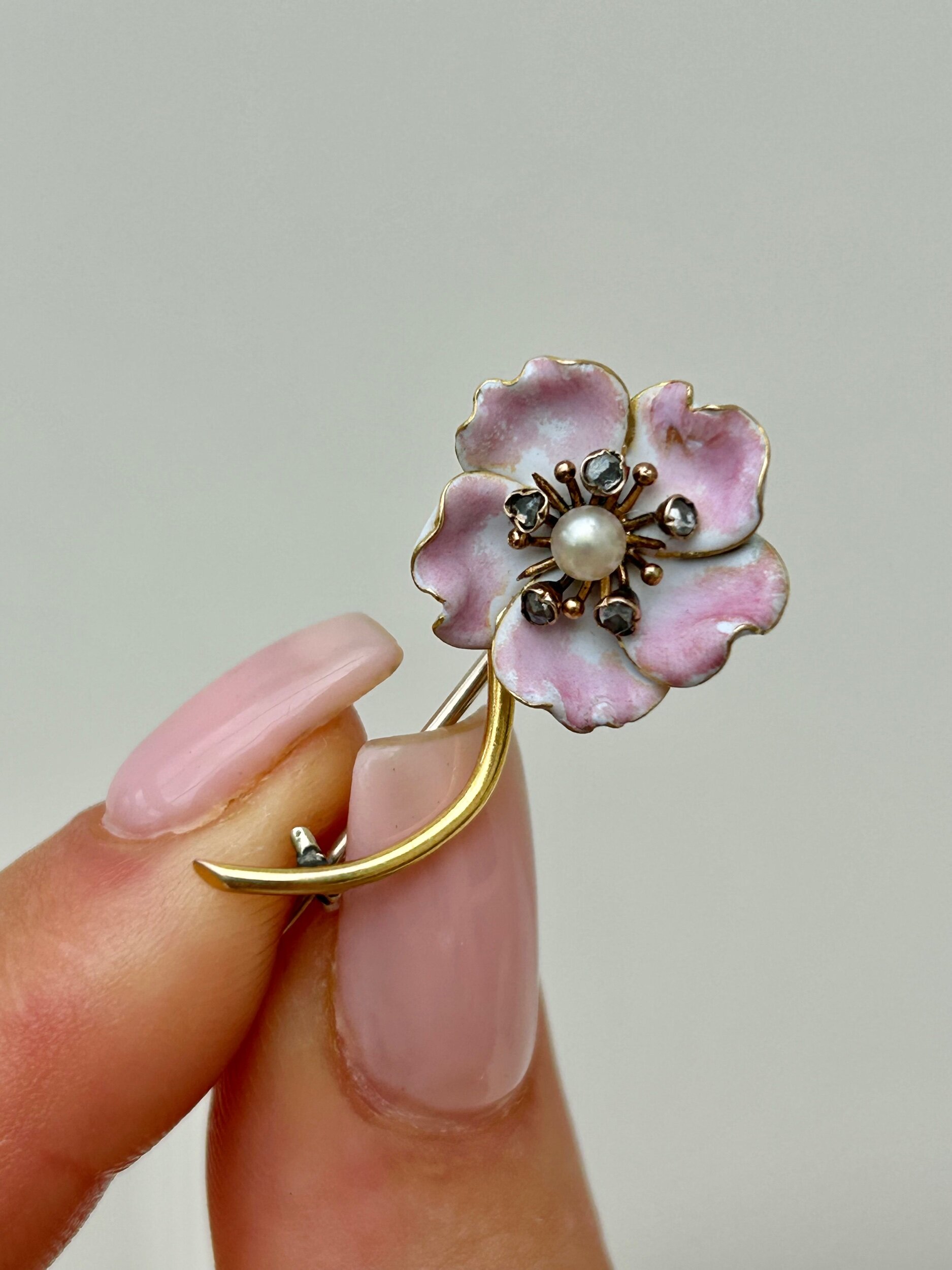 E2509117-2F29-43B0-9620-8D77A49F8F3C