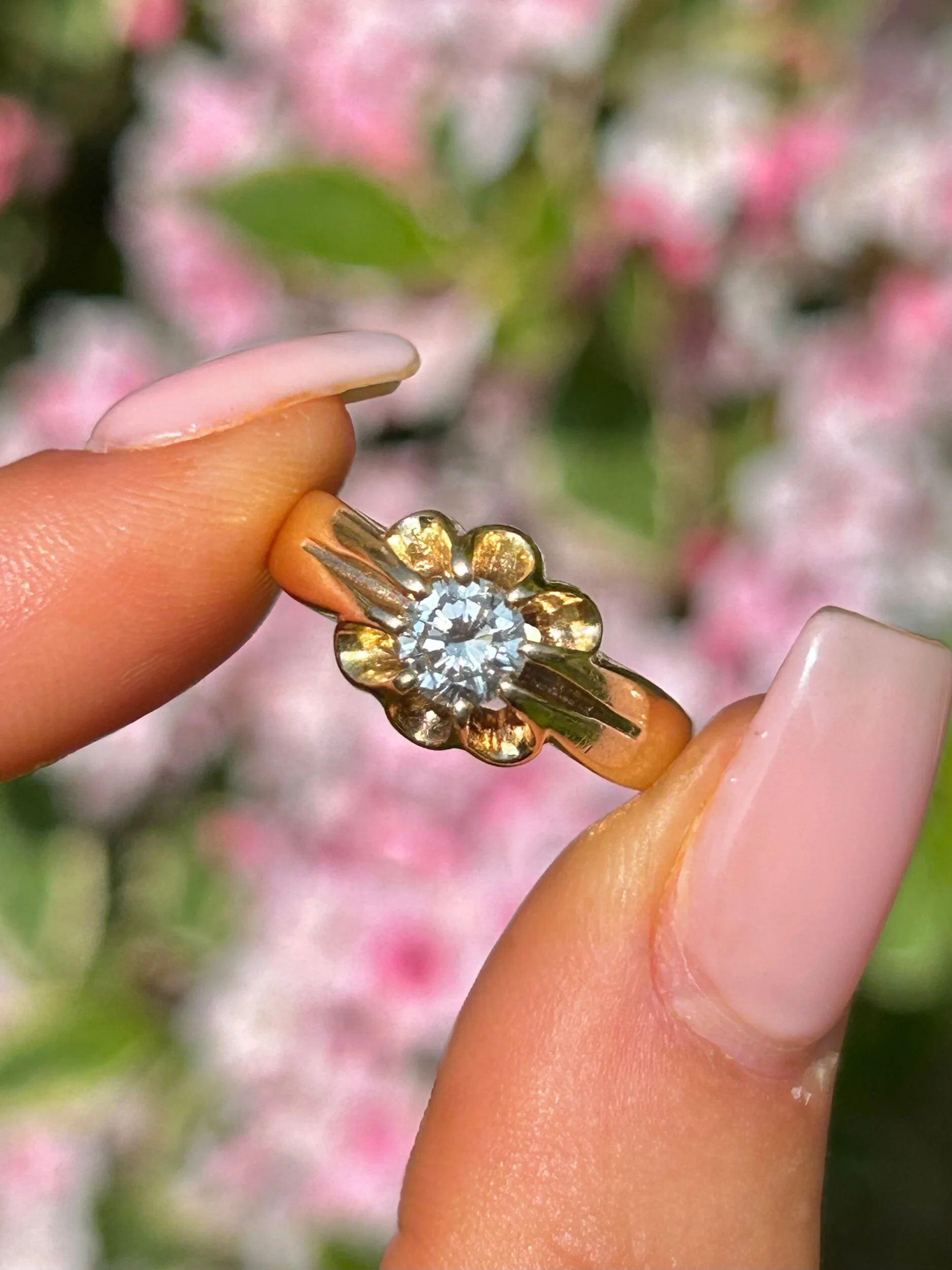 1A631C21-4897-4433-96B0-E752C3A5599C