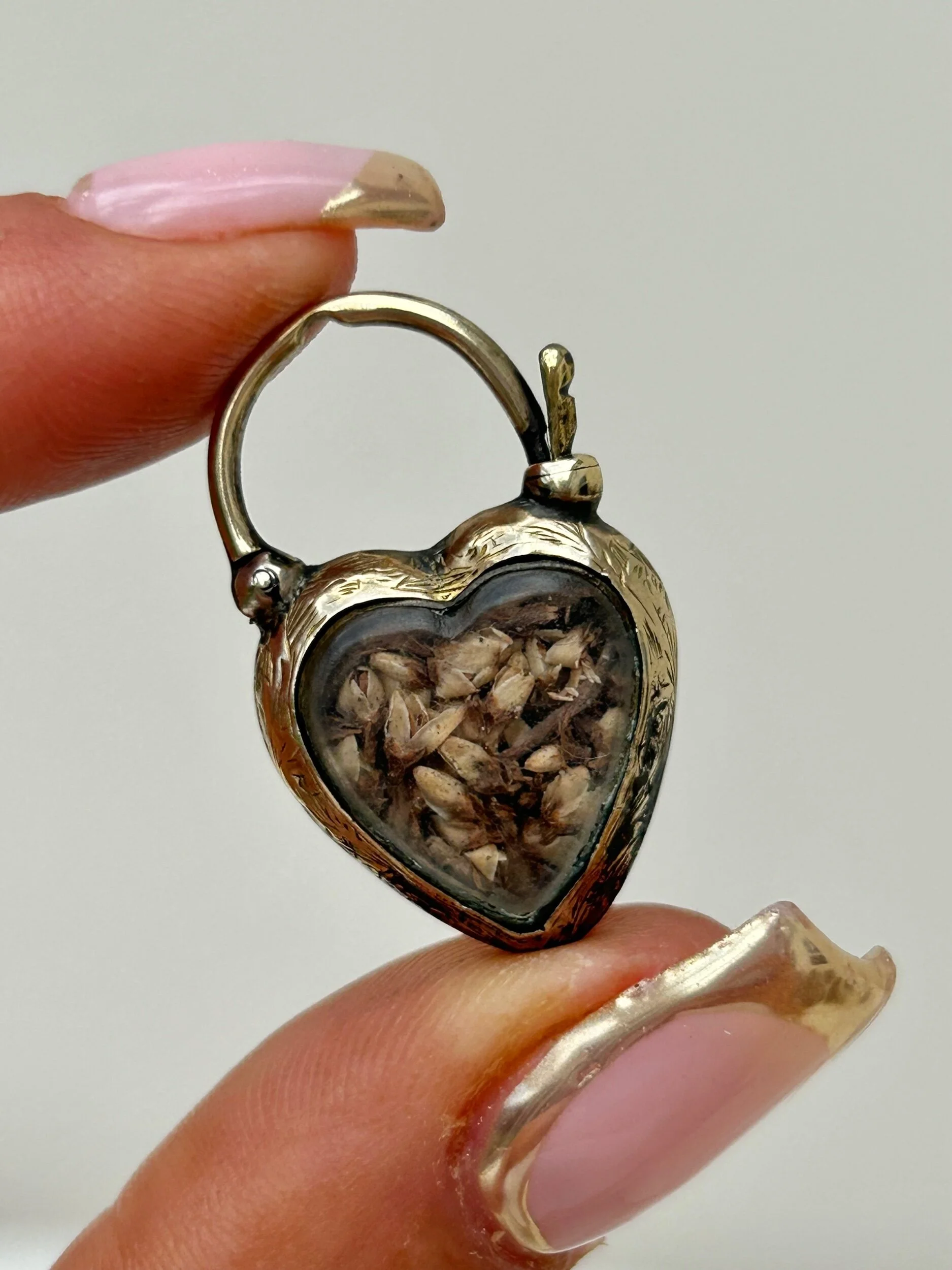 EE4A1A11-D853-4E30-9CC3-4C05D3D26808