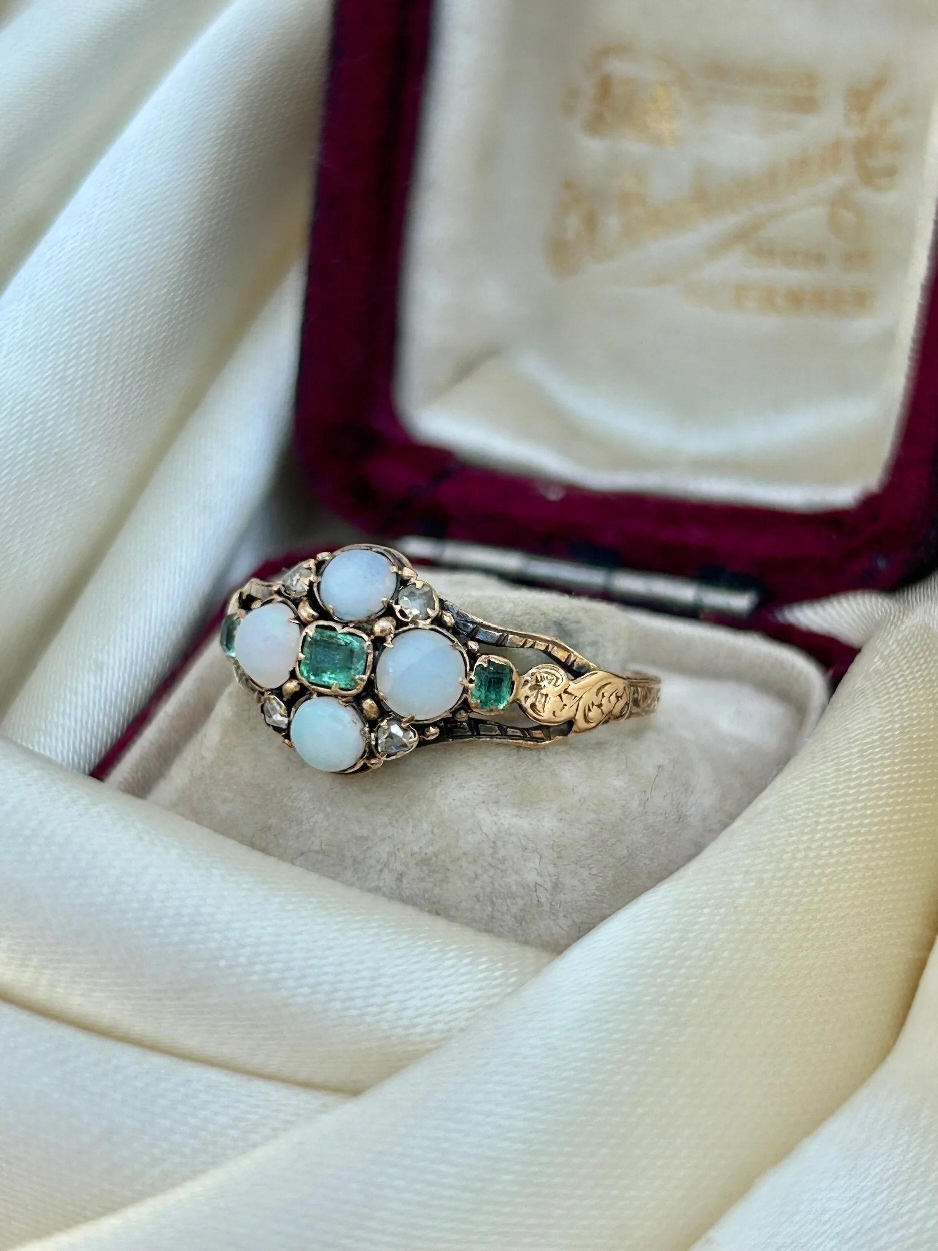 6E7F1EDE-D249-418E-BE4F-F21BB629DA1B