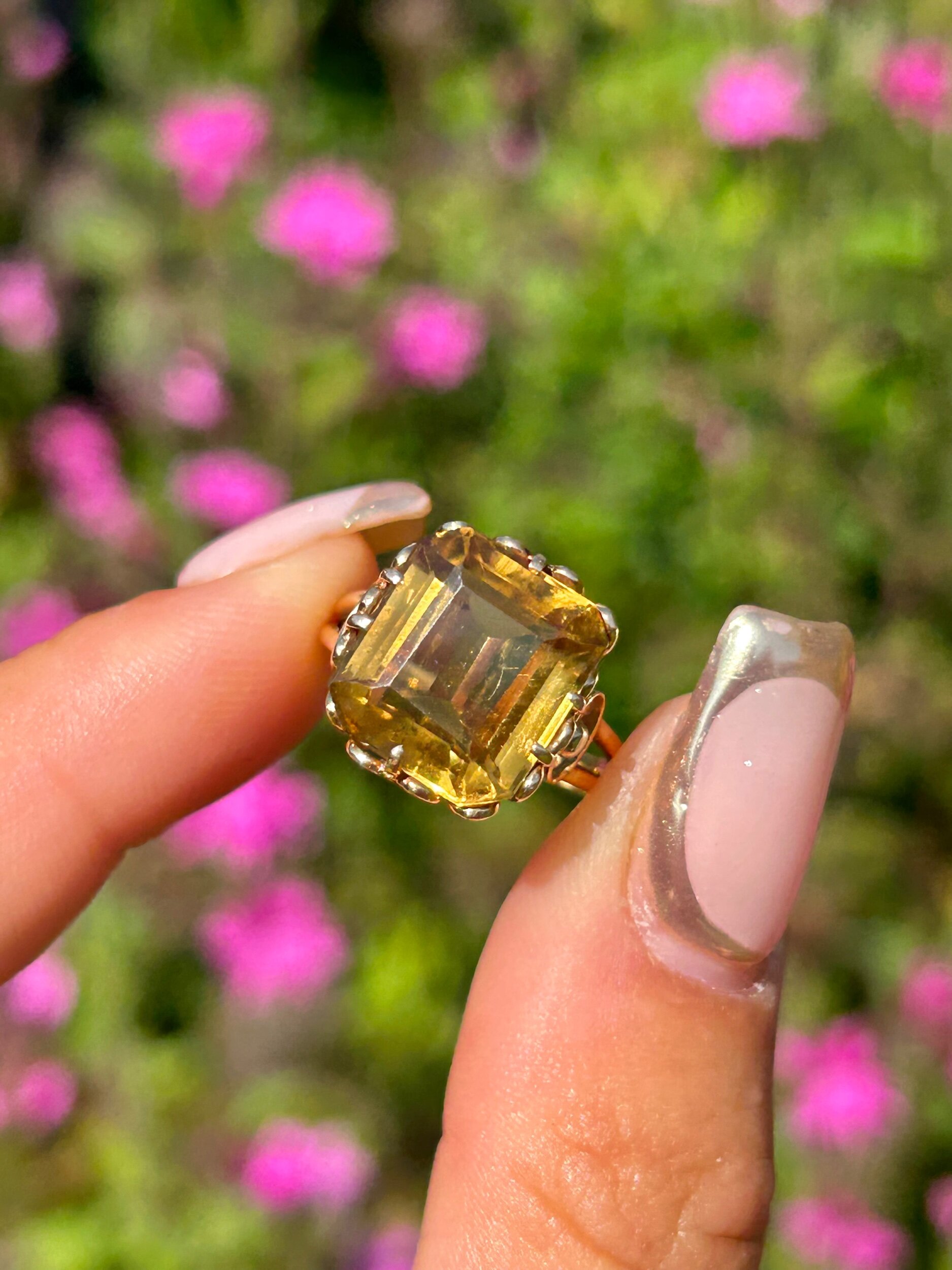 2443B986-DF44-425F-BD1D-C8A5FCC9DDB9