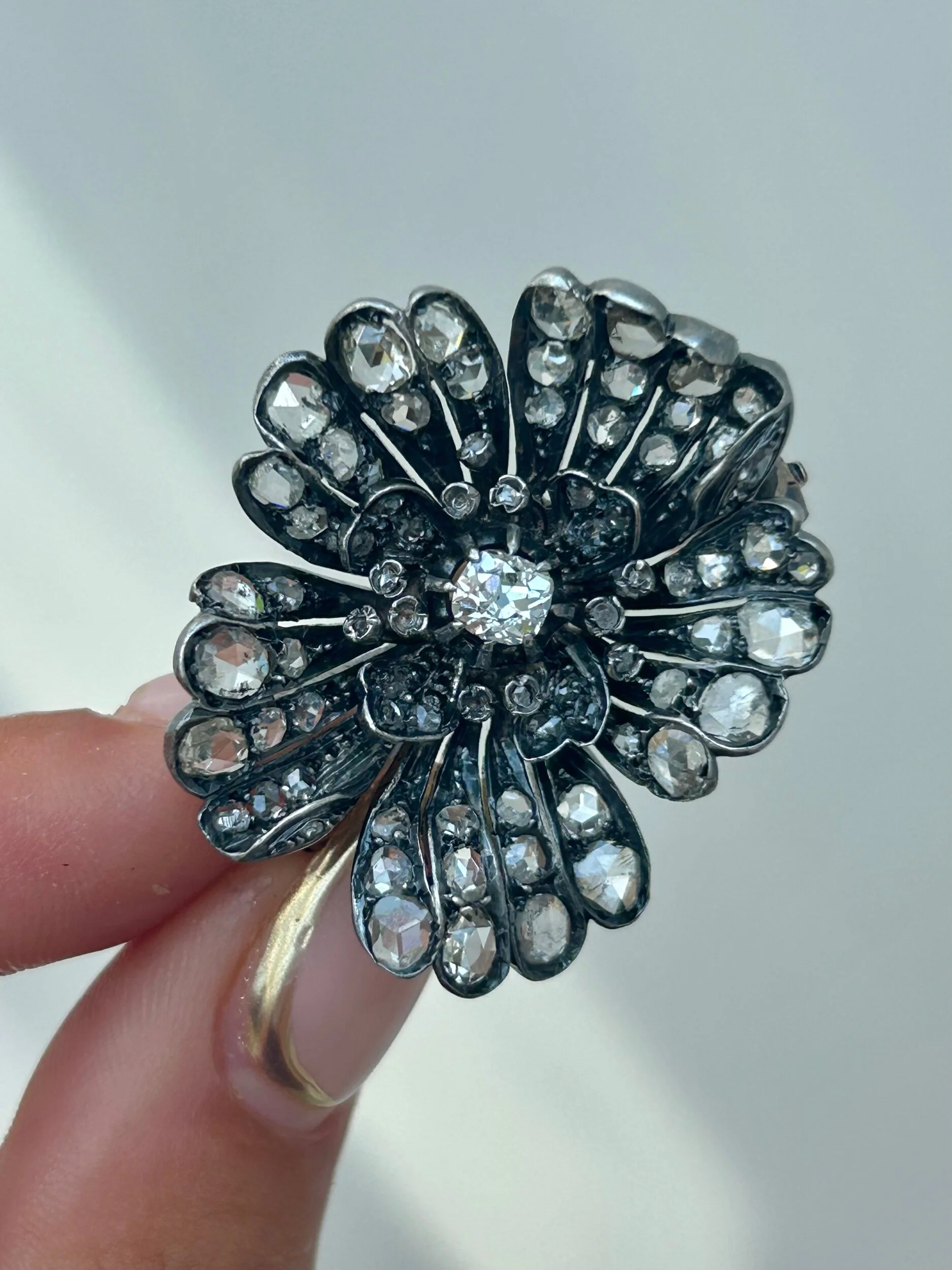 B481B069-844D-4D70-8DEB-16347A7623E2