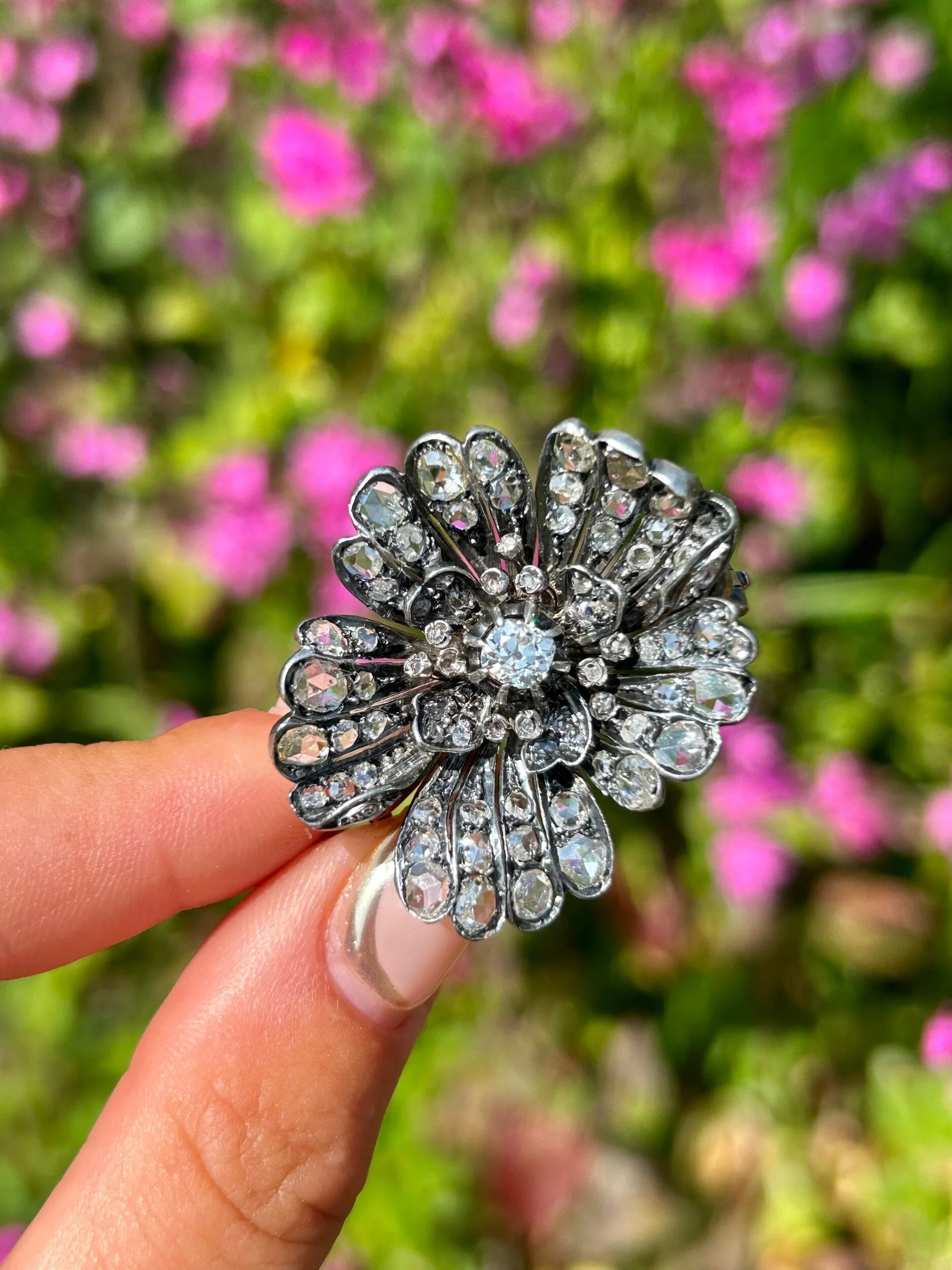 E4CD89A9-8A8A-4045-A4E0-DCD69E487AAB