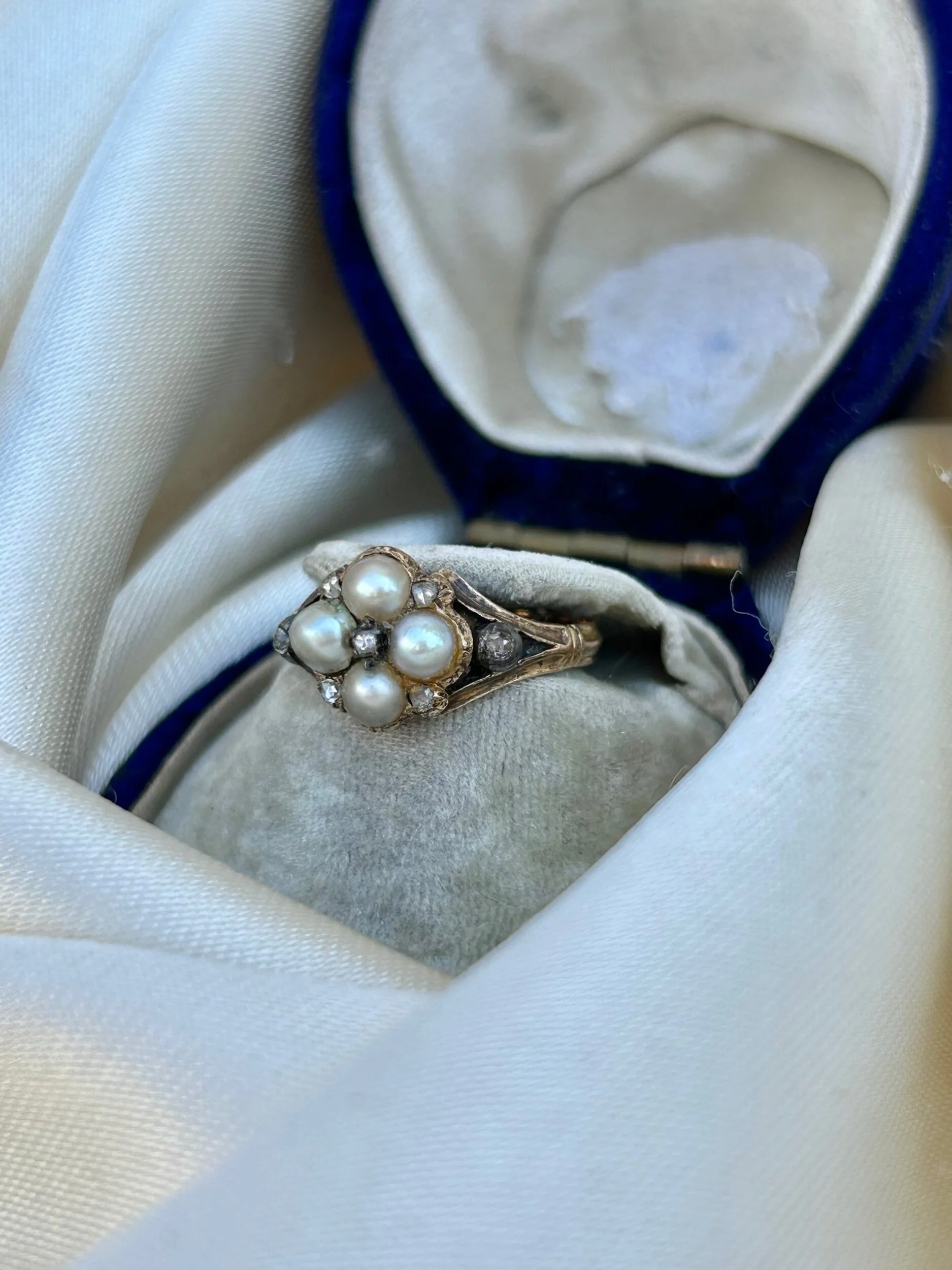 F45BD48A-9A08-408C-A166-026E63551D5B