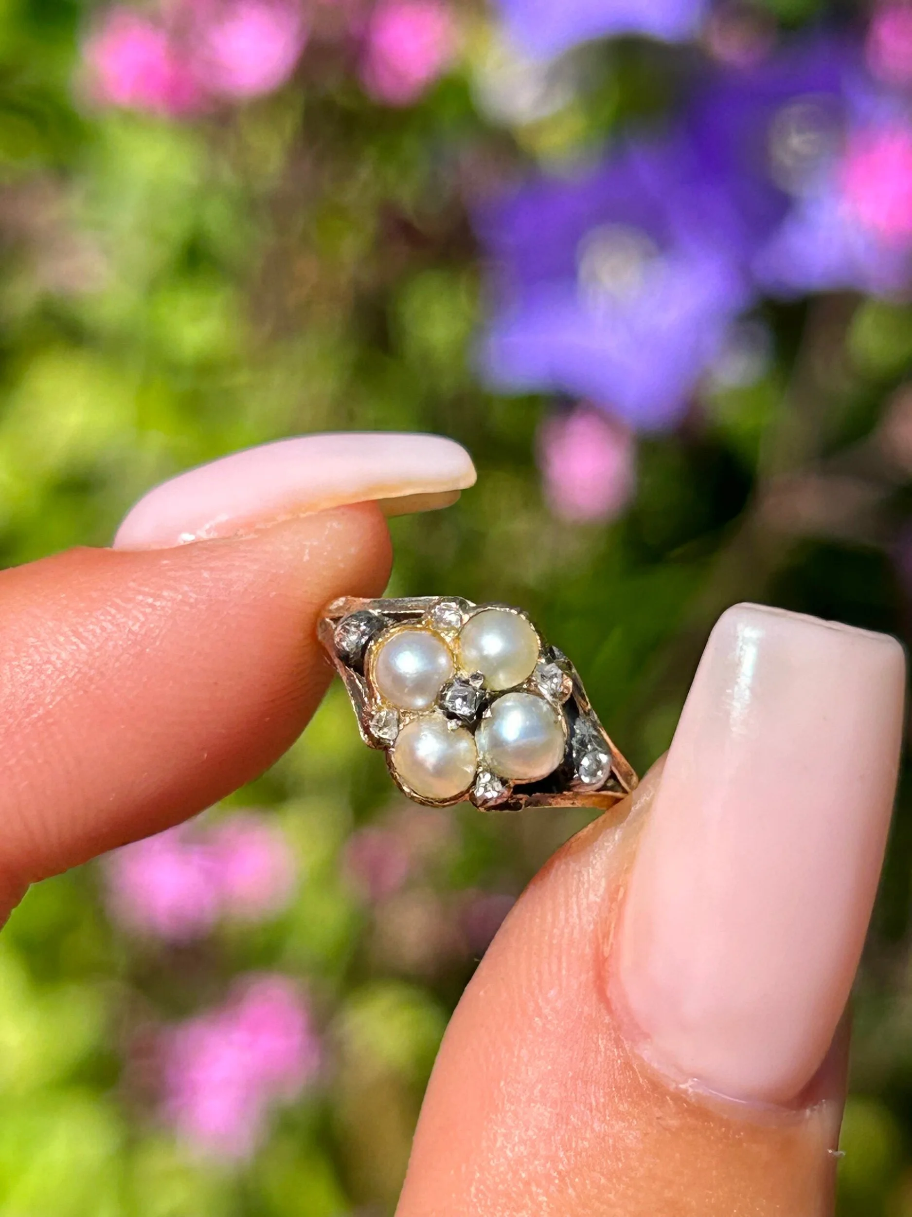 784CDE5B-B441-4F53-BB49-FE09668DB359