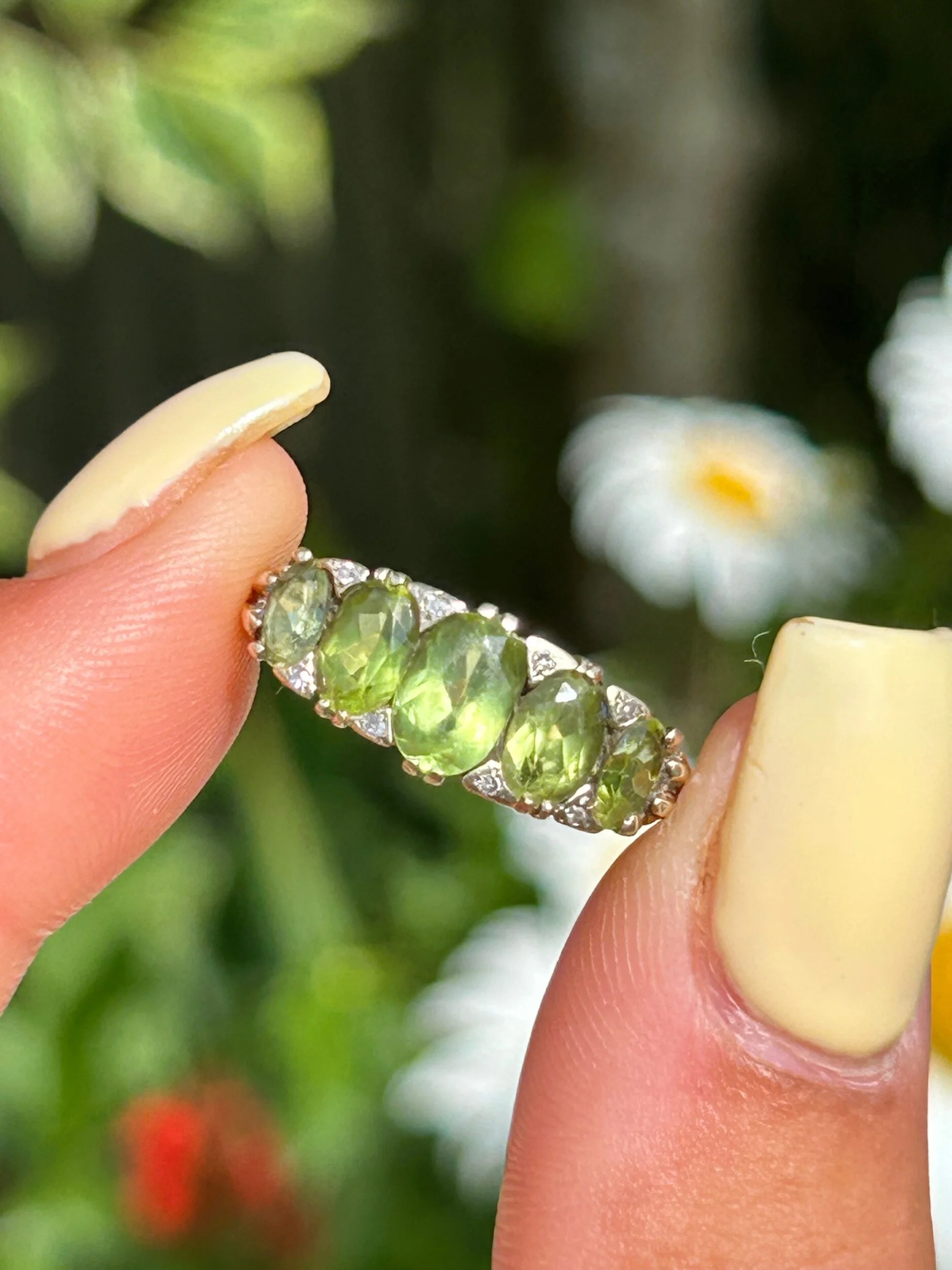 C8B66E1B-43F8-433E-B9E7-5F1E73E96703