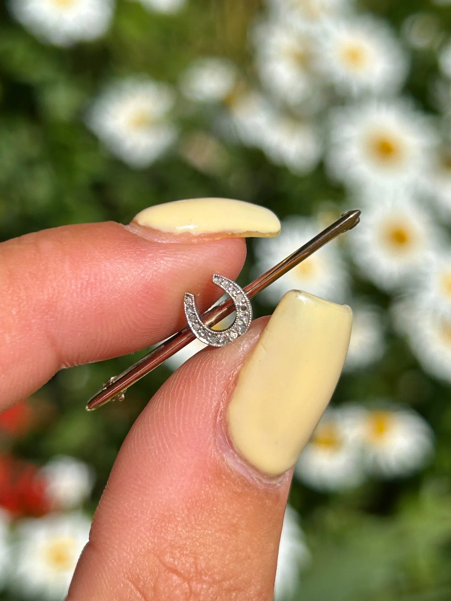 DE365989-EC89-4892-B2E3-5B5ECFEBEB81