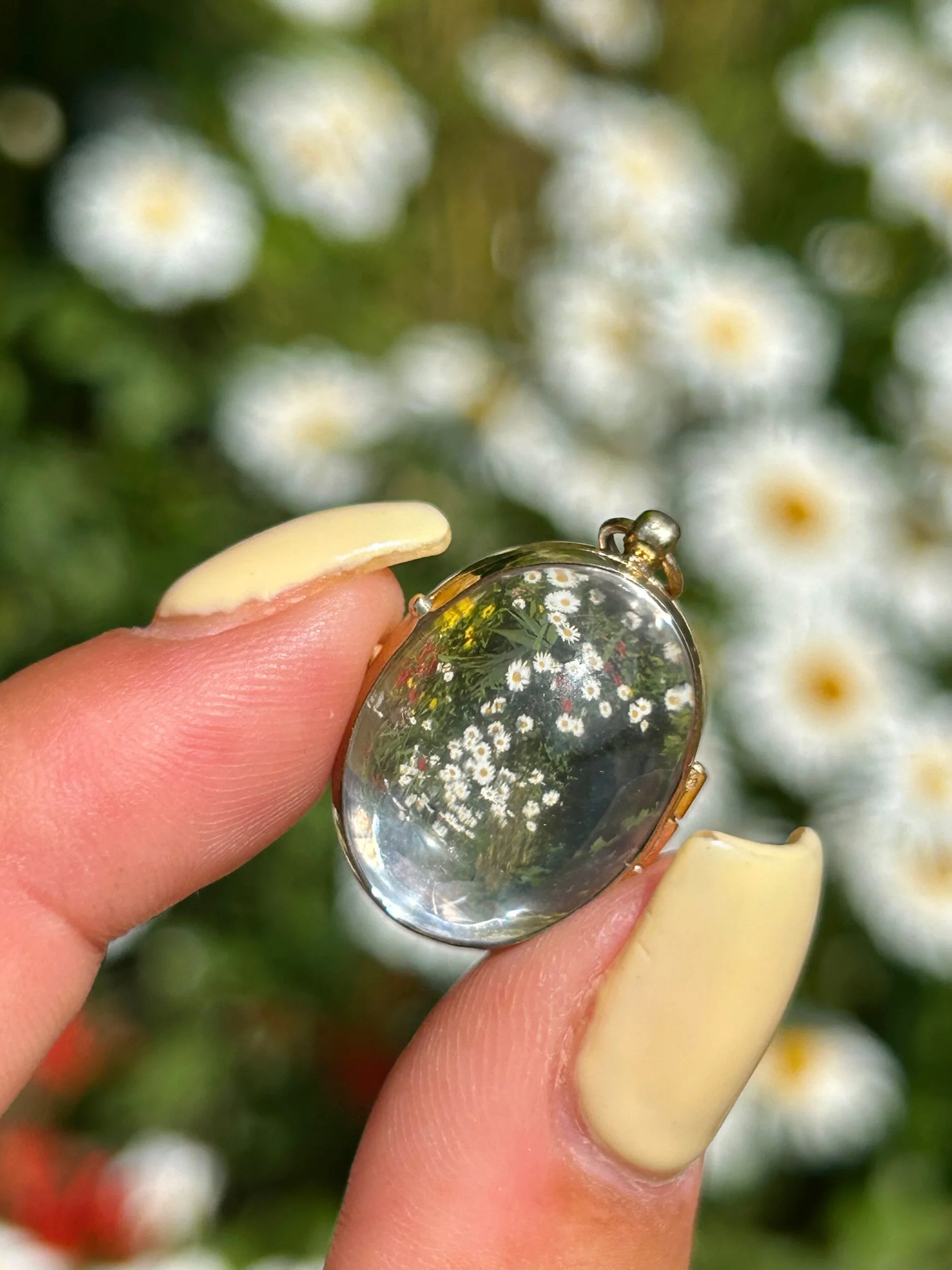 56D7D6D5-871E-4395-A42C-AE04DFC1832C