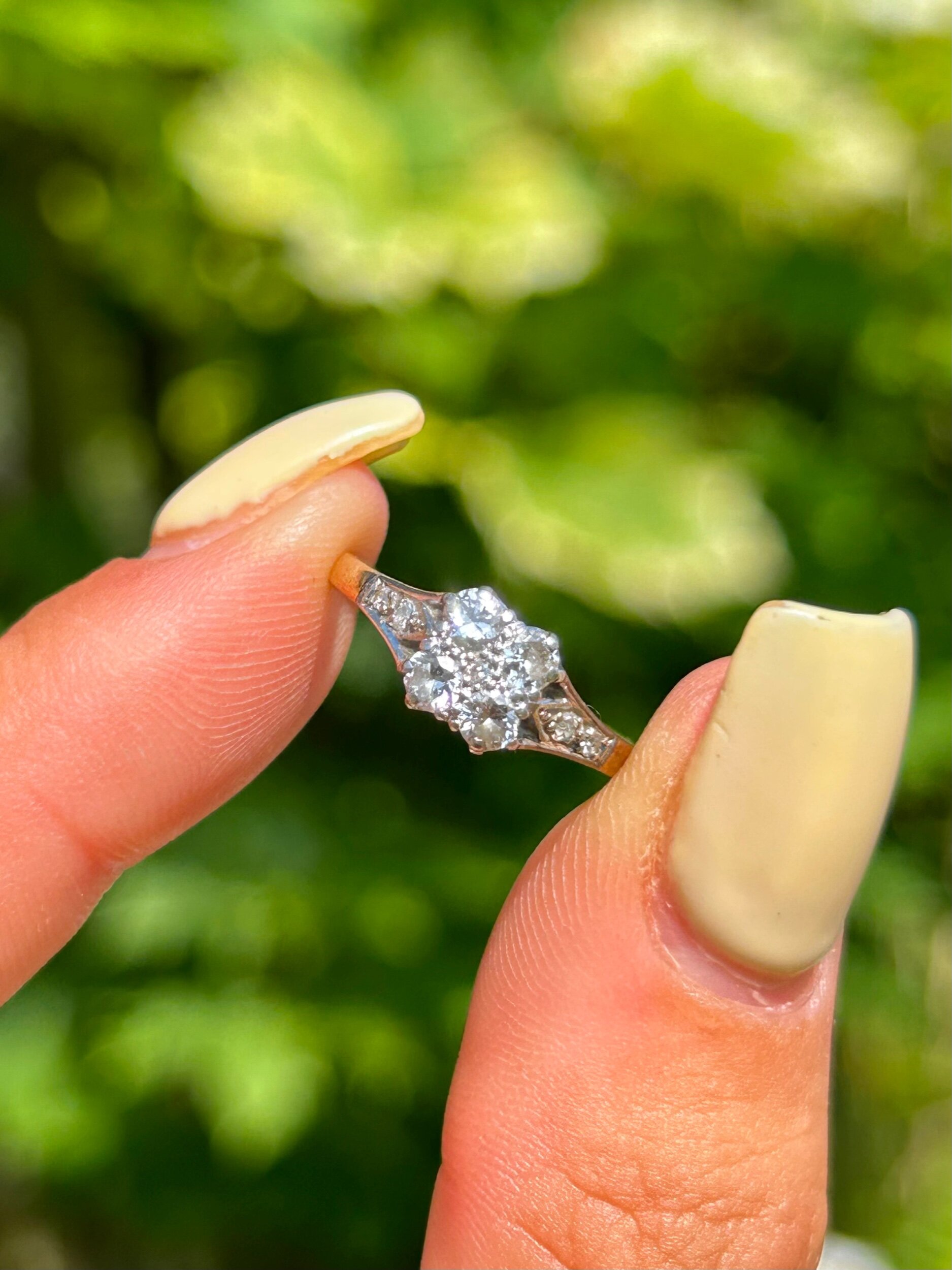 E3EF4E37-3774-488F-A86C-16C098D968DB