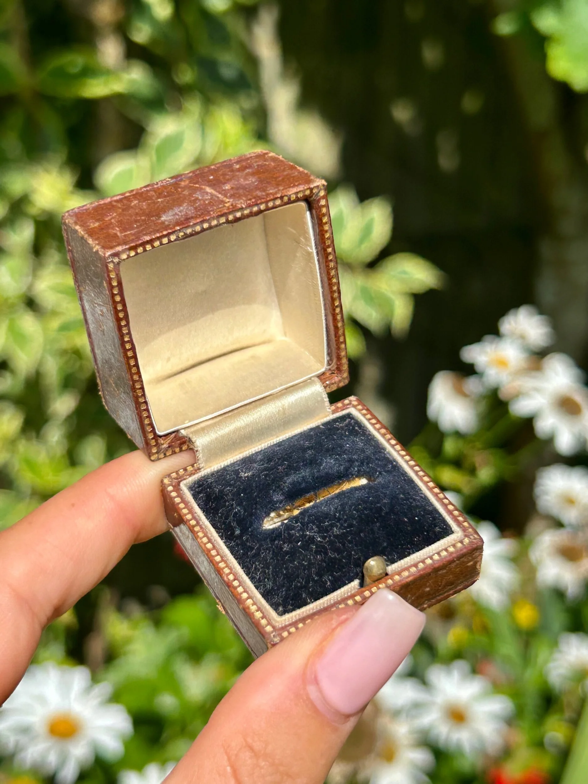 3E80F455-DBAC-417F-B473-028C2A0C1B98