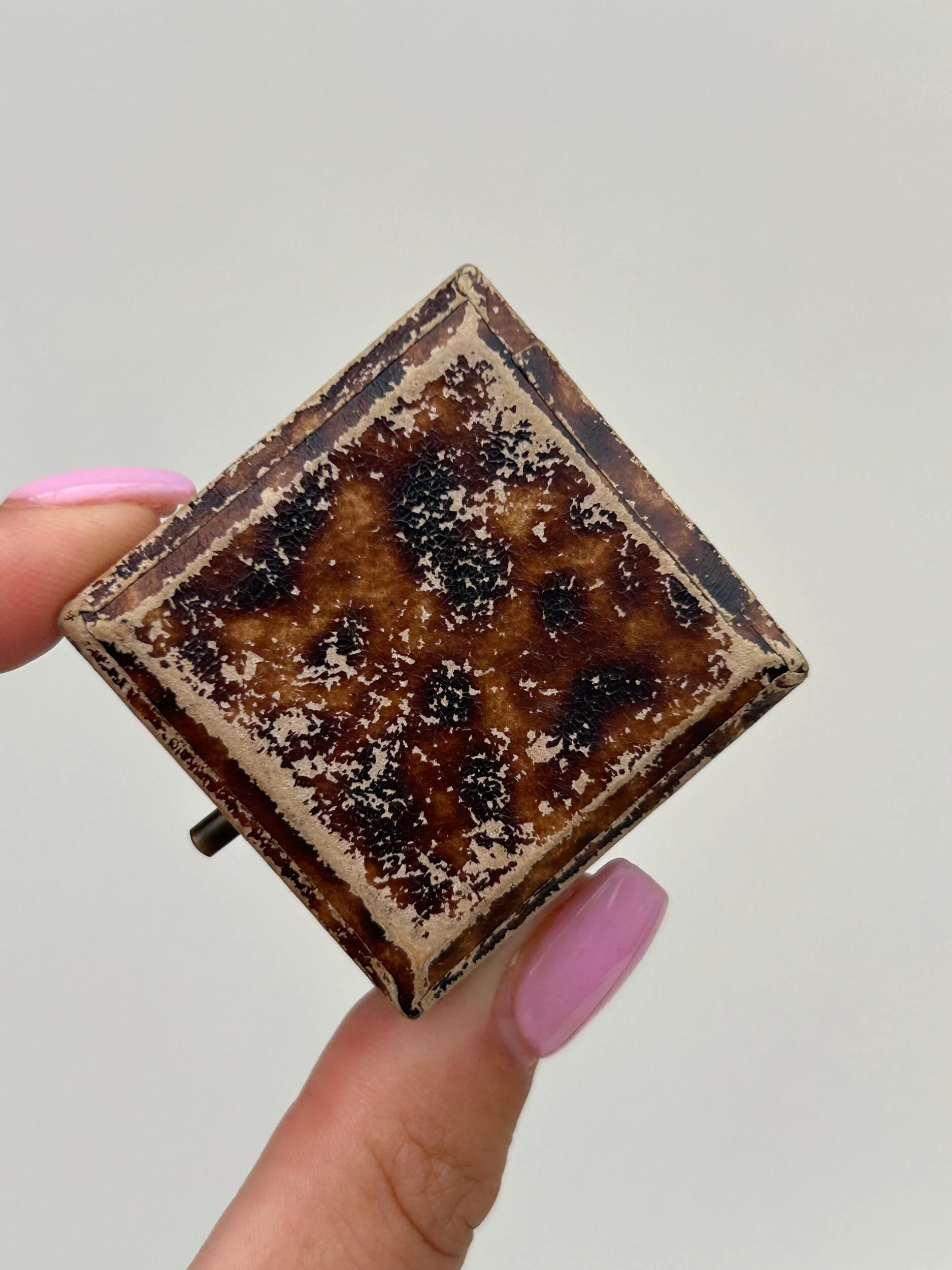 39F143E2-3328-48CB-B982-E028FB003415