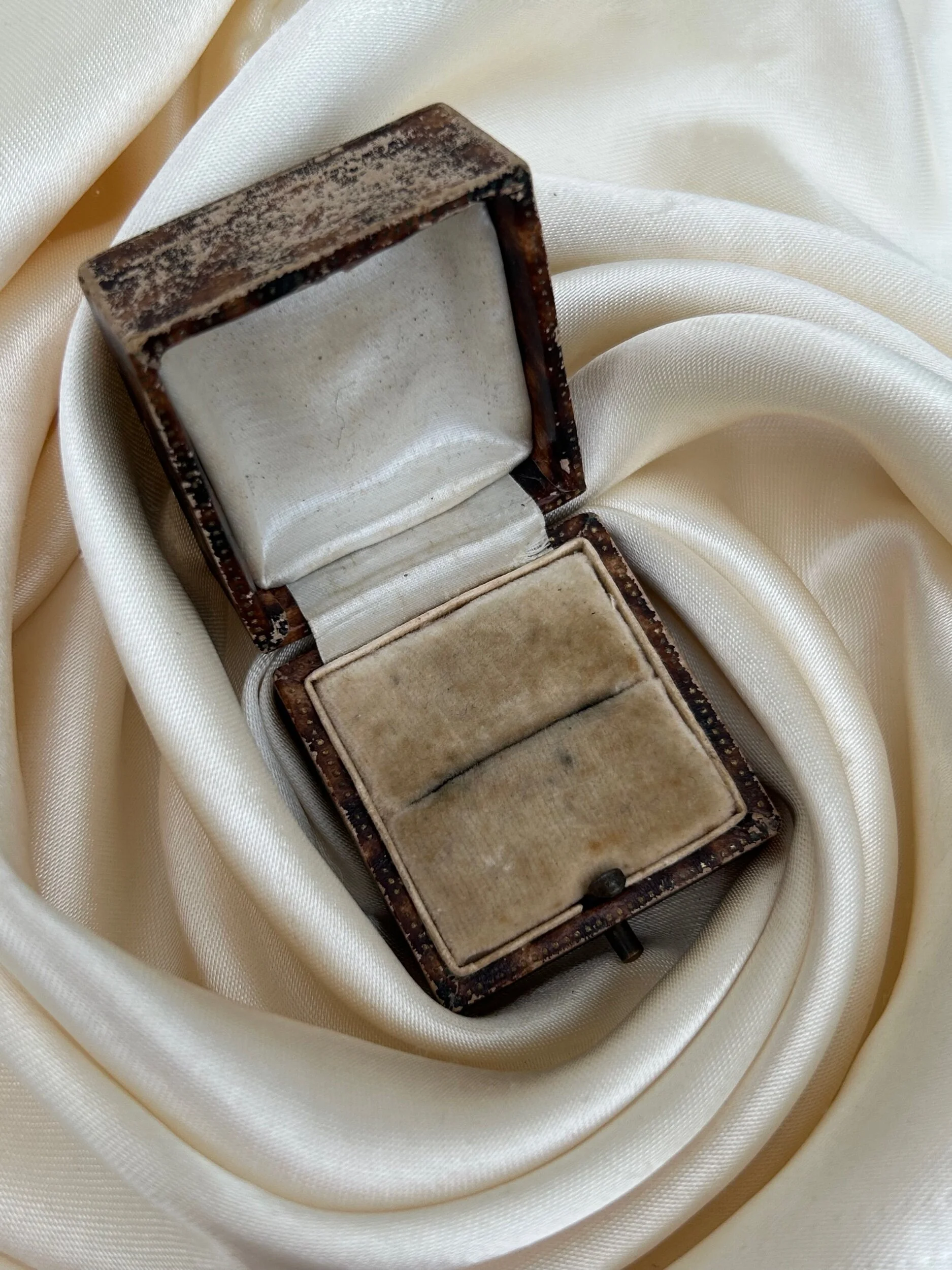 85EDC12F-A065-48A4-979C-2621F85D3797