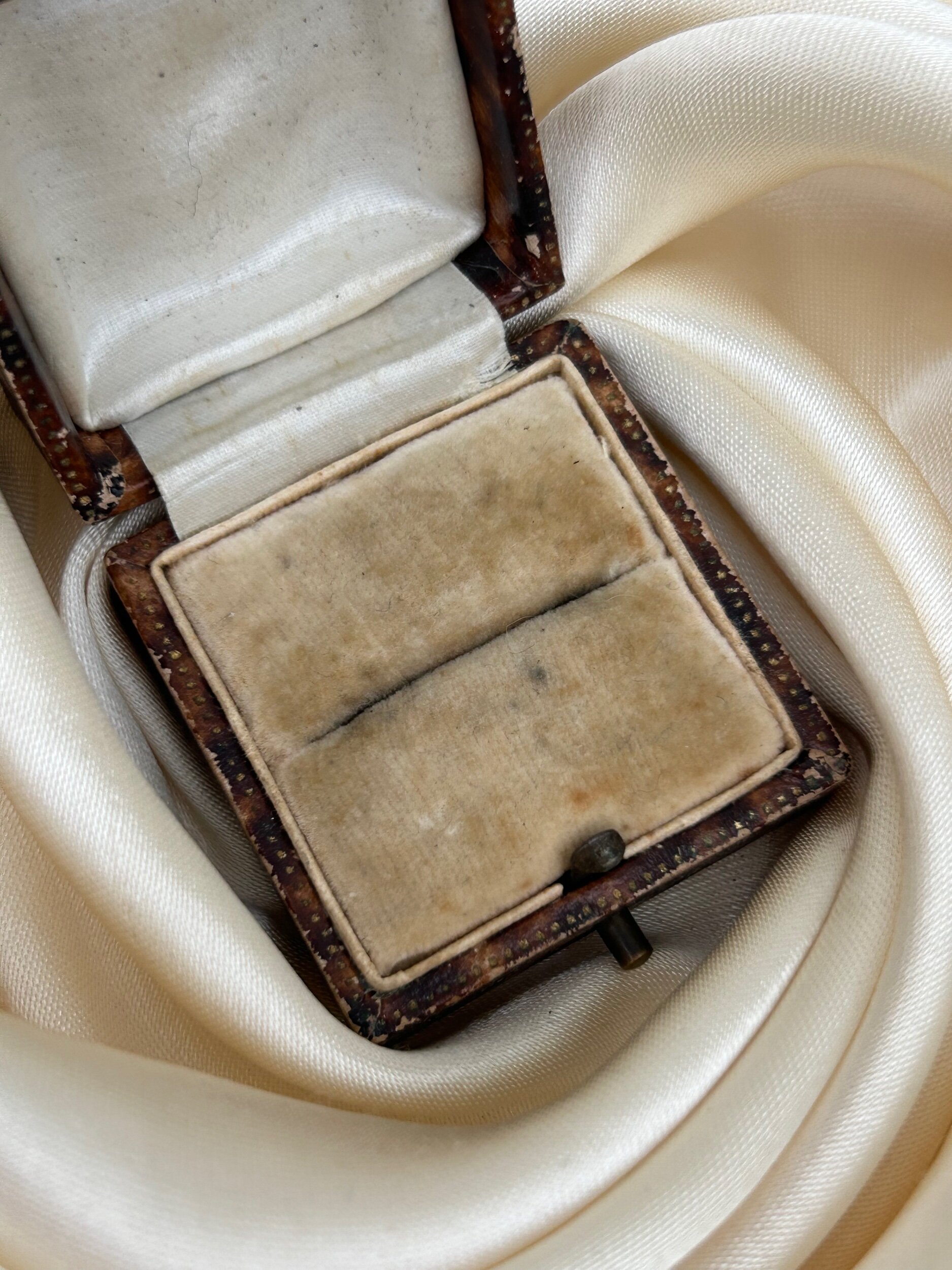 C7851E3D-9E41-41B4-A21F-6FC5596D7861