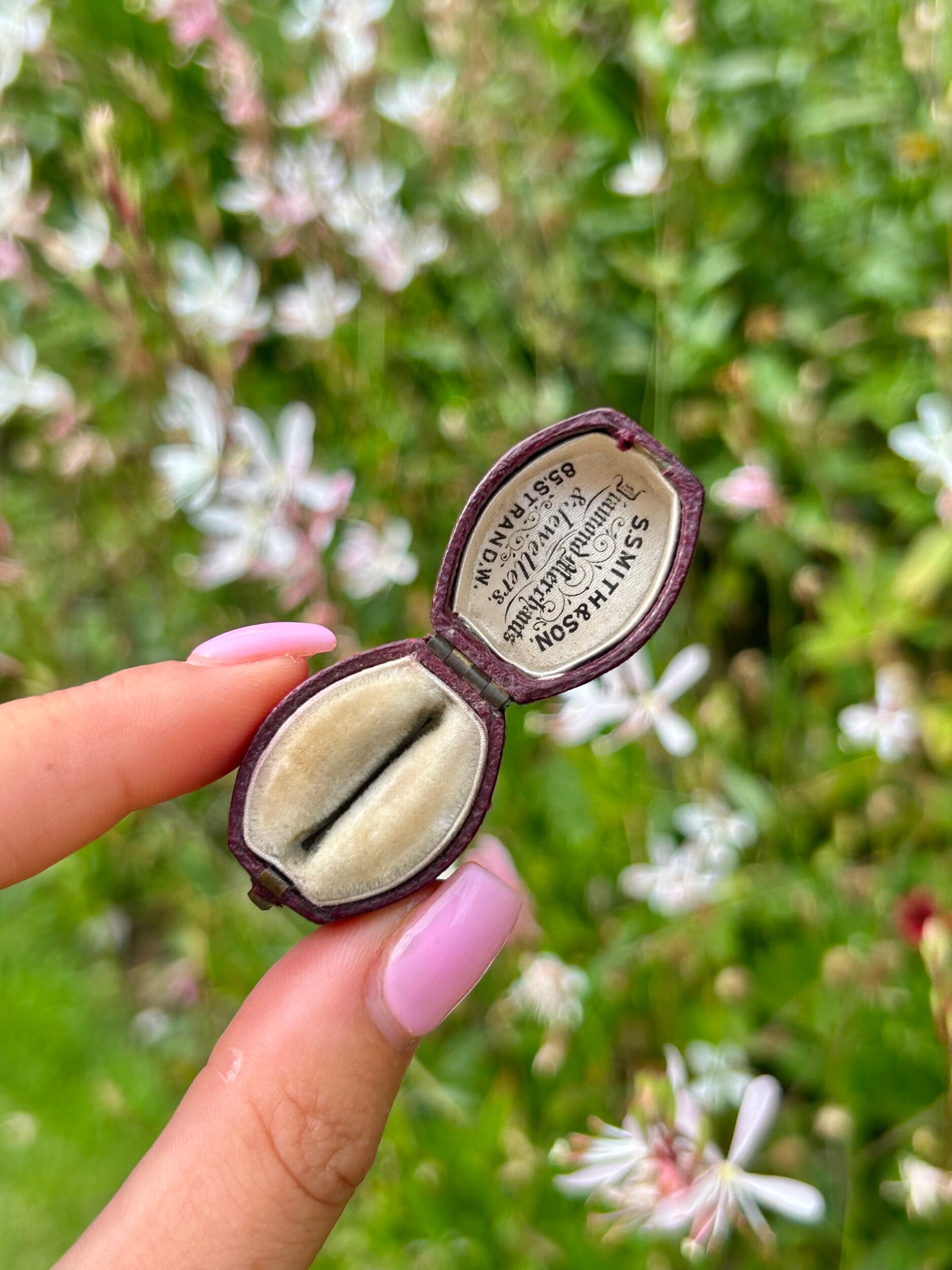 27445650-0989-4F6D-9A5B-E85DB09CC2D8